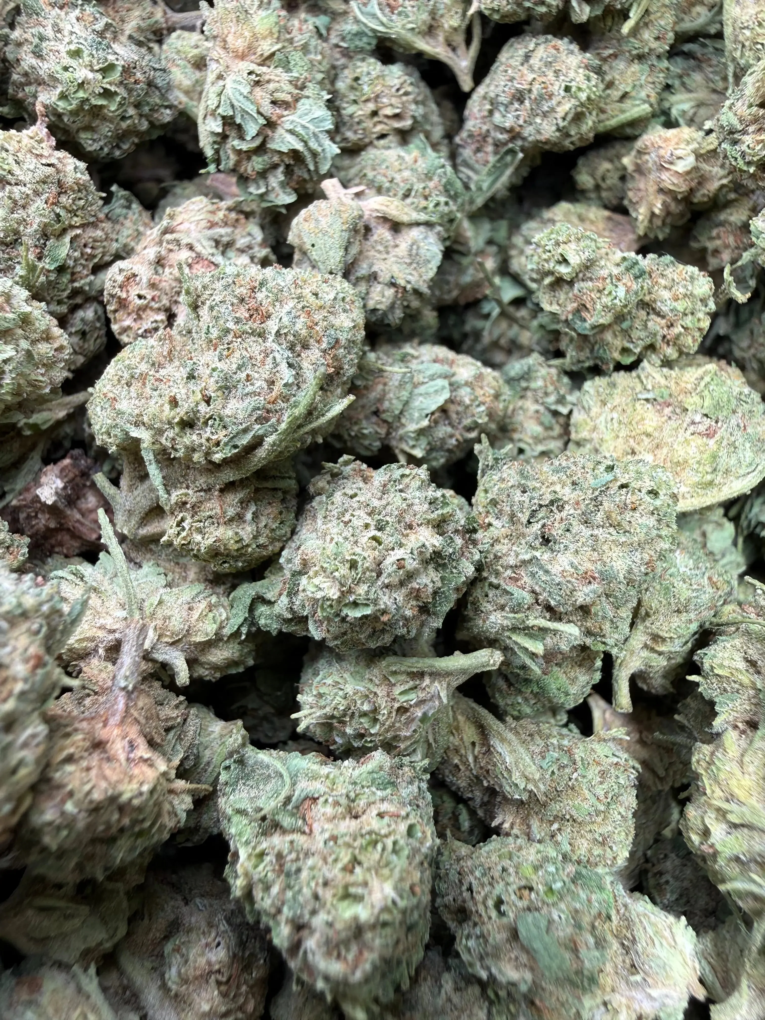 1 Pound - Cali Cartel THCA Strain (Smalls) - Image 4
