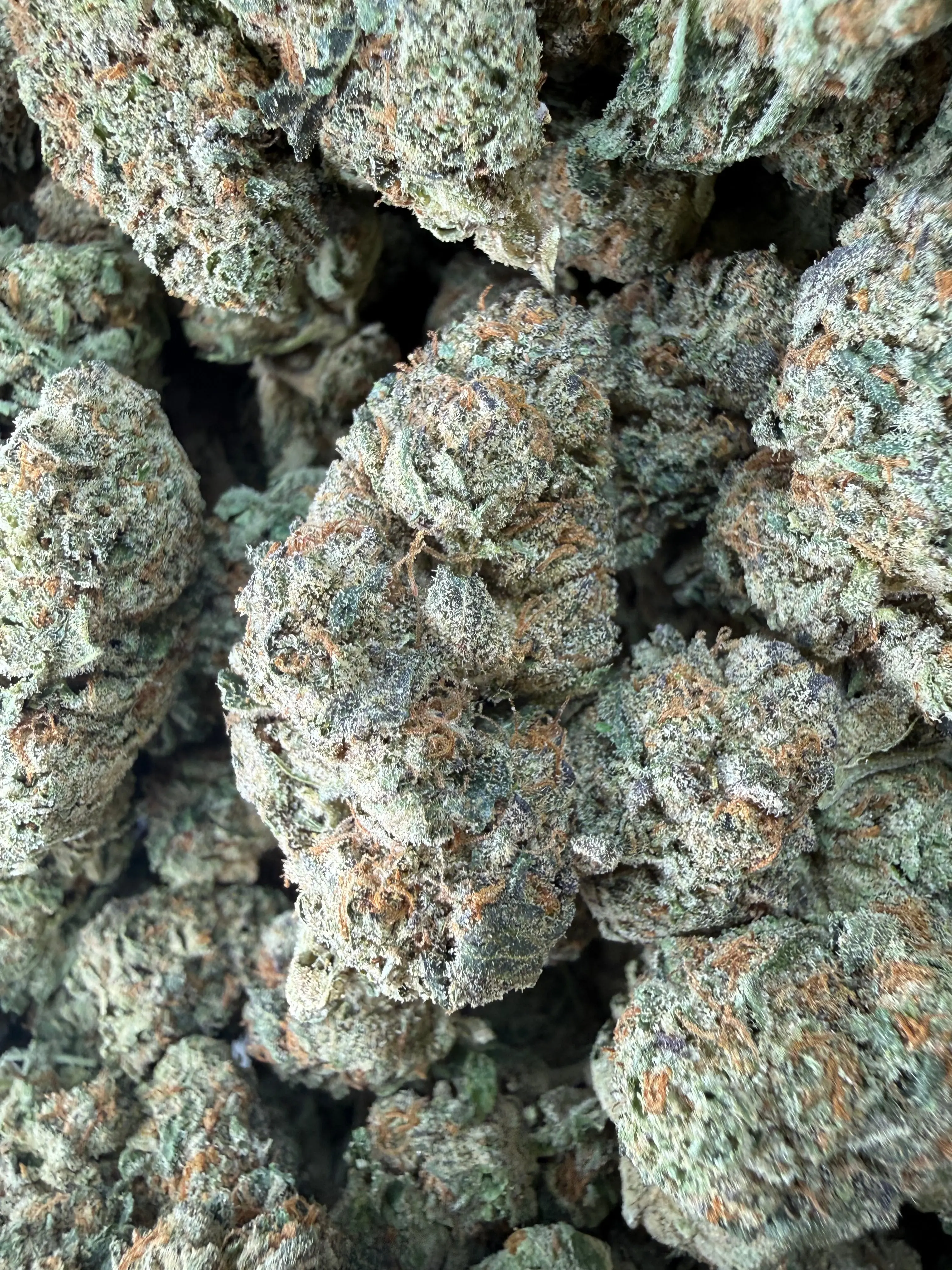 1 Pound - Cereal Milk THCA Flower - Image 2