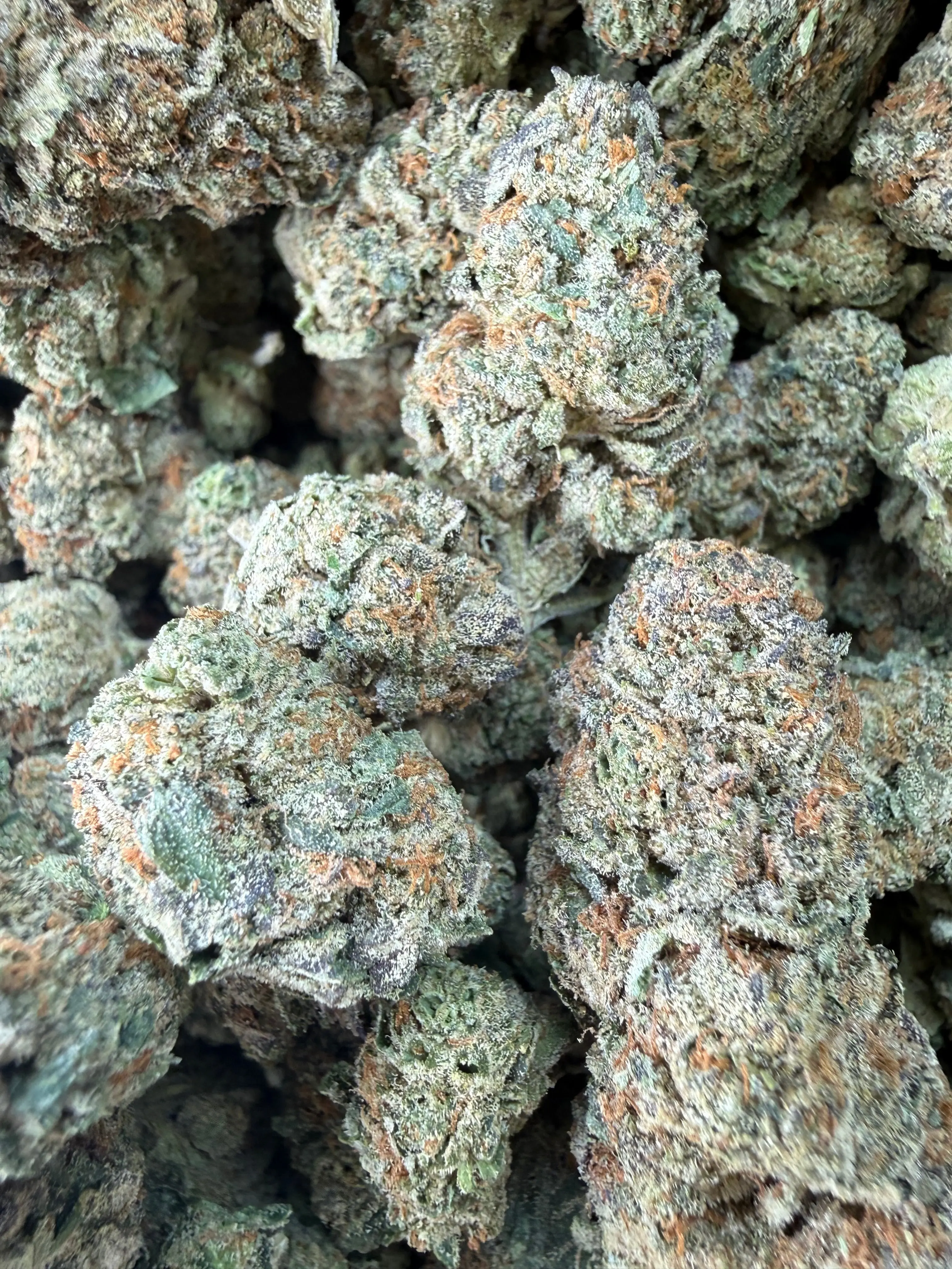1 Pound - Cereal Milk THCA Flower - Image 3