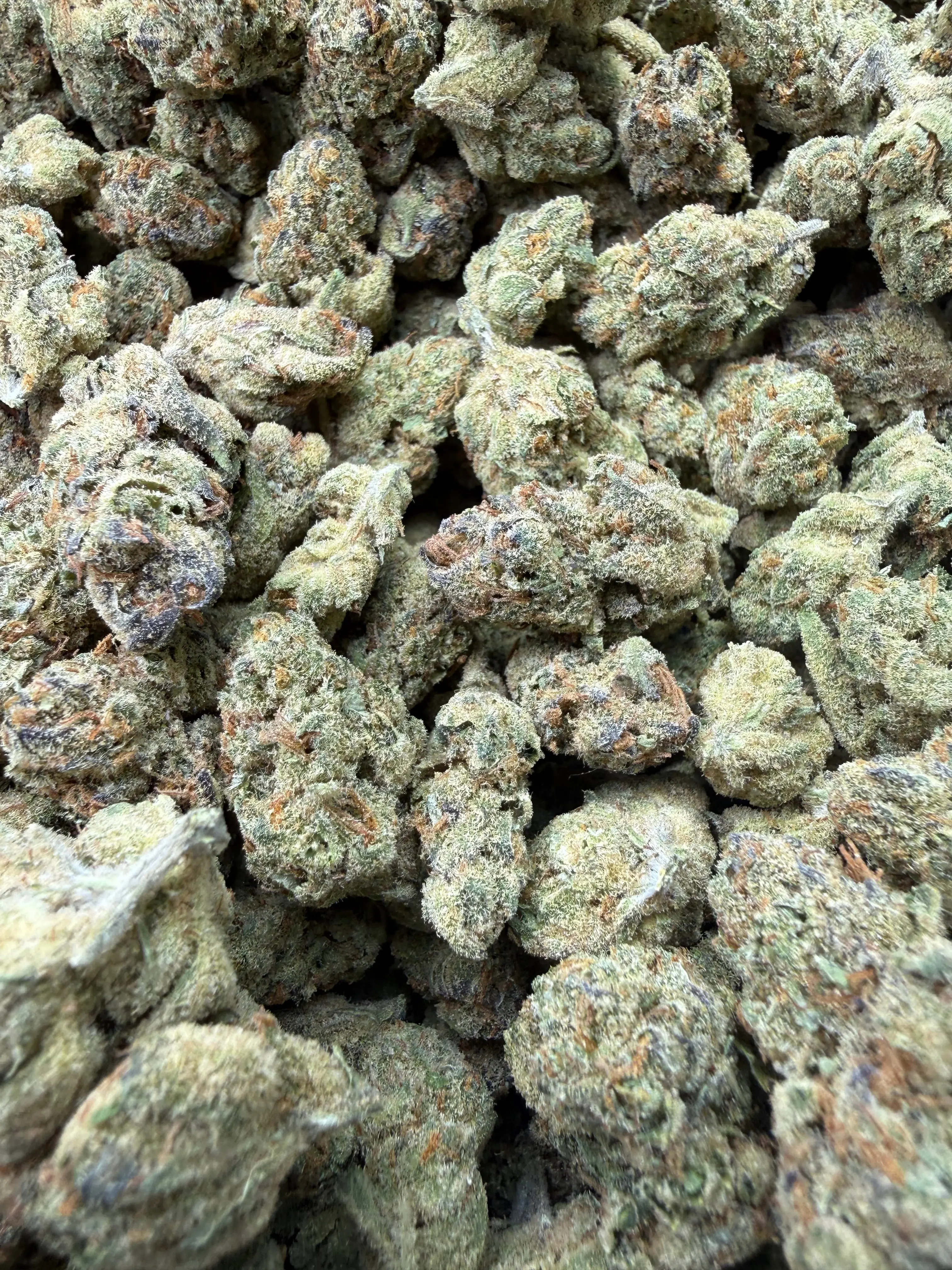 1 Pound - Cheetah Piss THCA Flower - Image 7