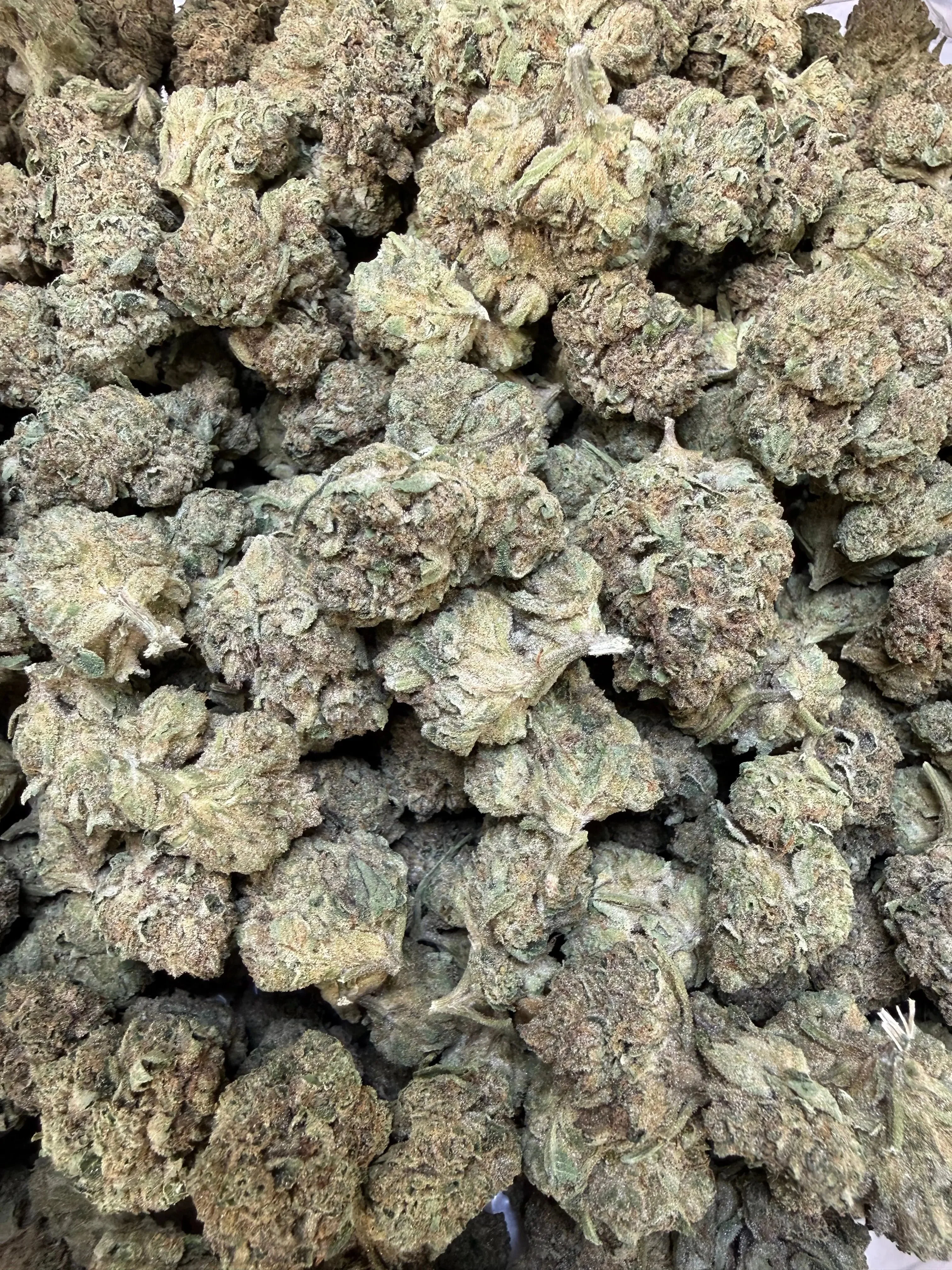 1 Pound - Cyro Cookies THCA Strain - Image 6