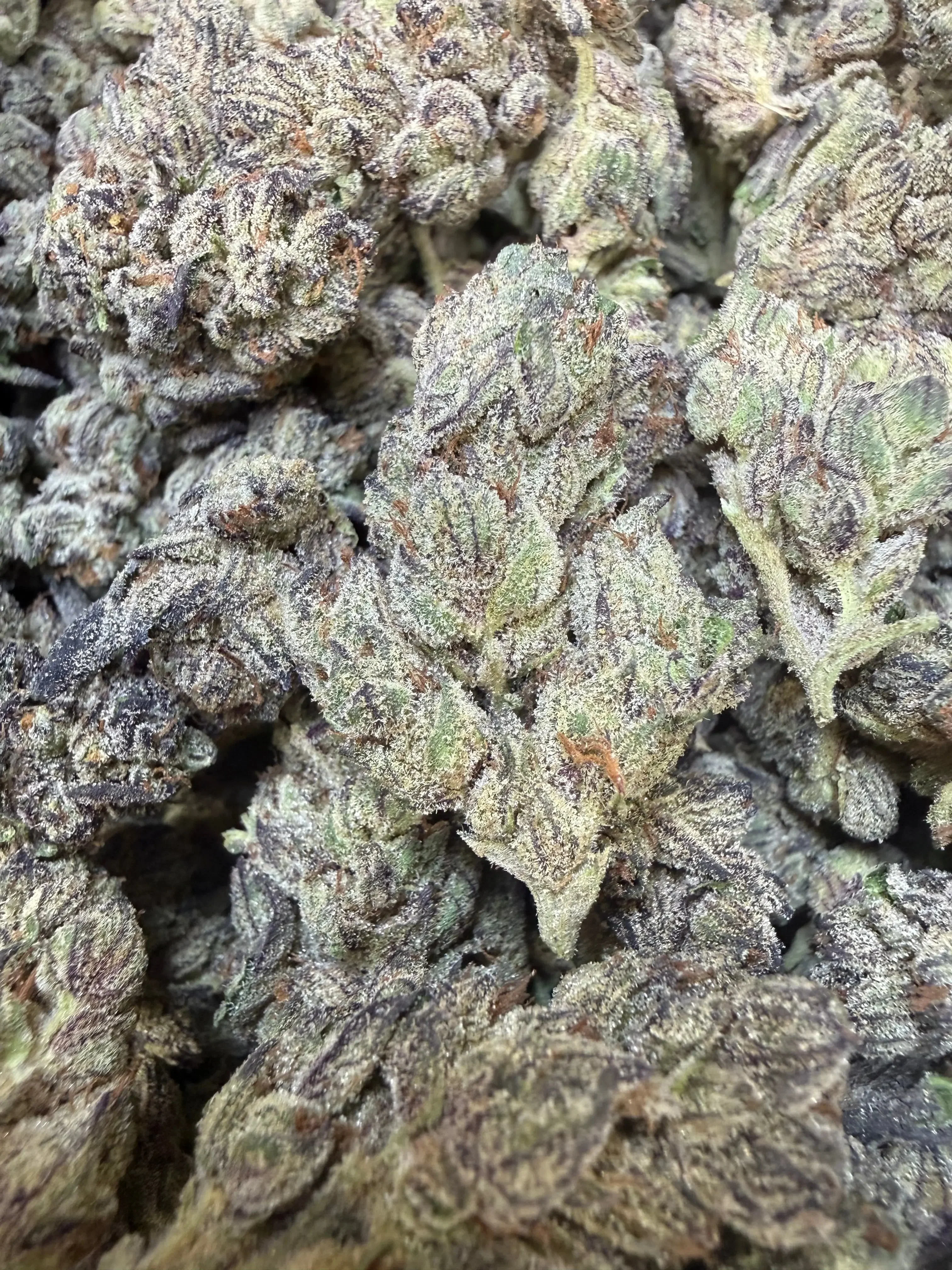 1 Pound - Deep Freeze THCA Strain - Image 4