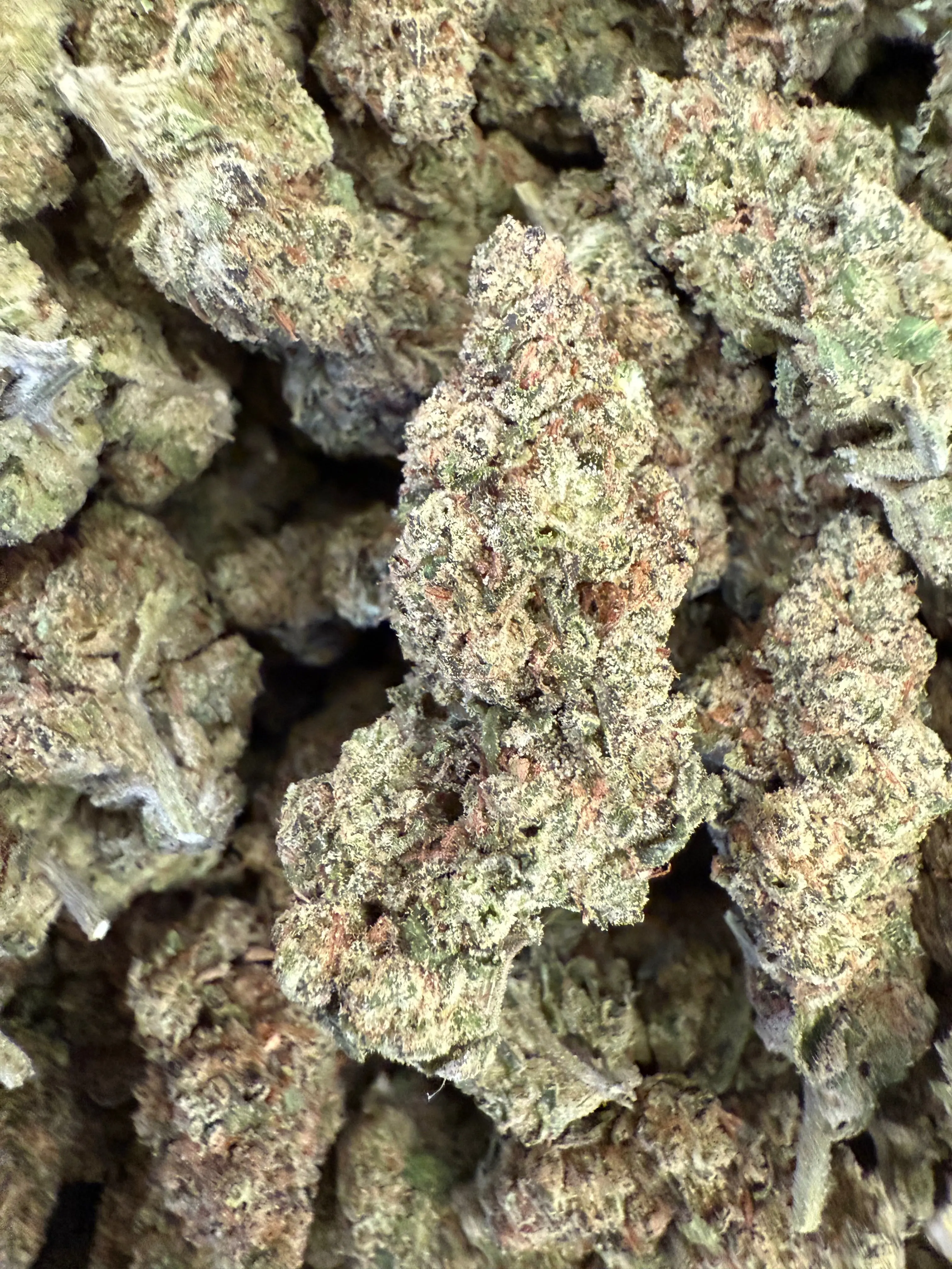 1 Pound - Exotic Hash Burger THCA Strain