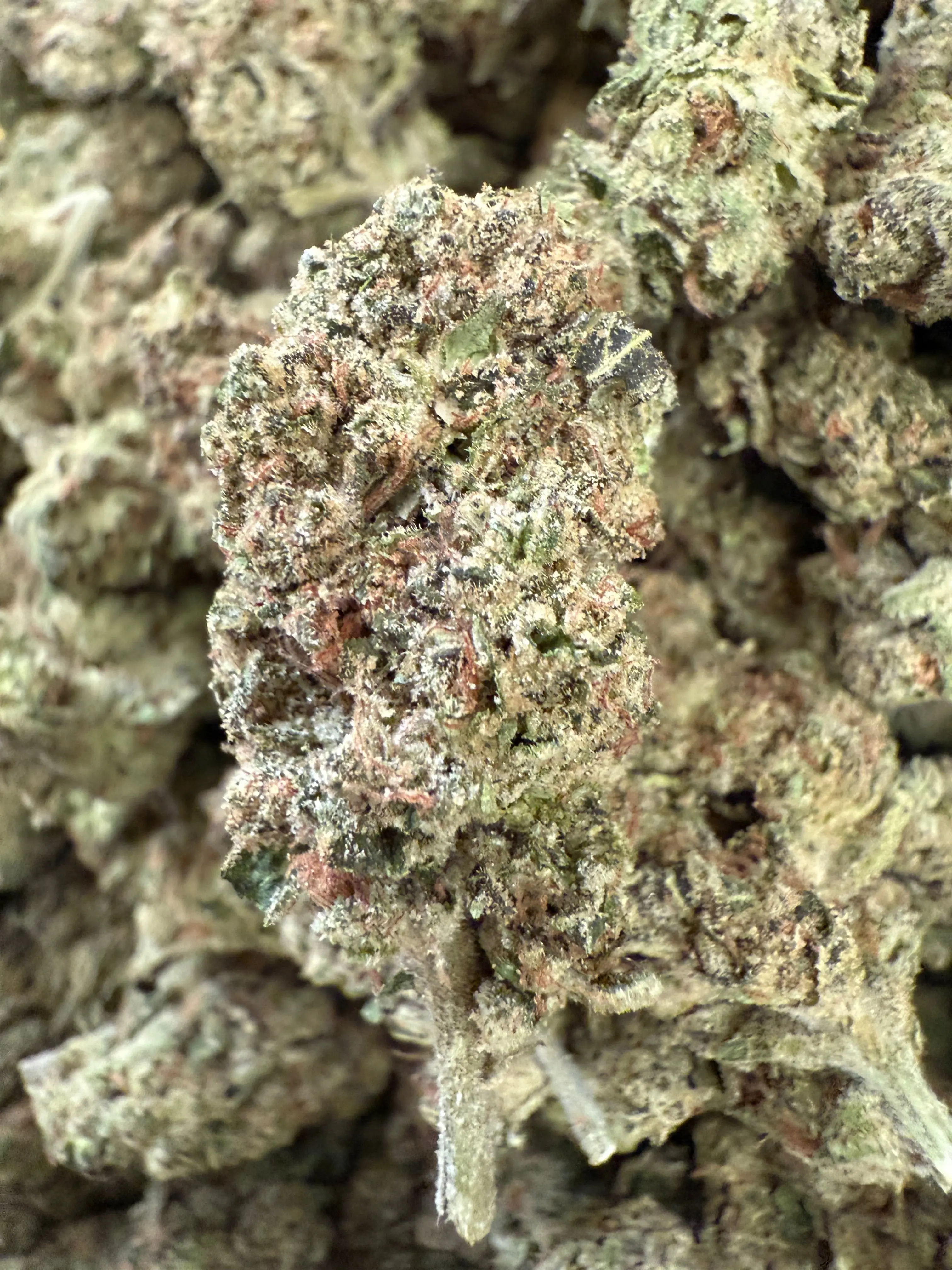 1 Pound - Exotic Hash Burger THCA Strain - Image 3