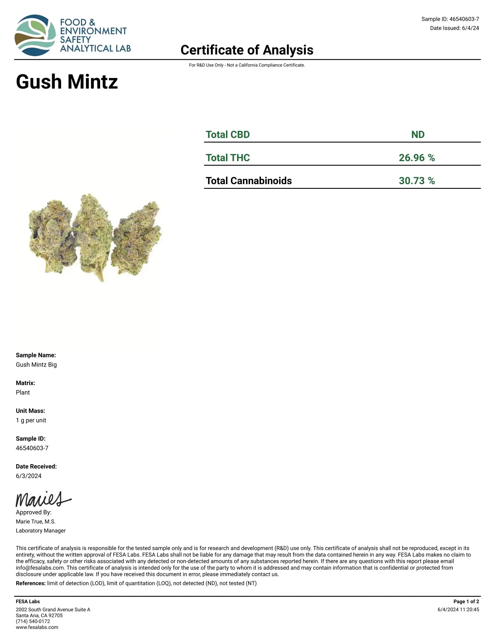 1 Pound - Exotic Indoor Gush Mints THCA Strain - Image 2