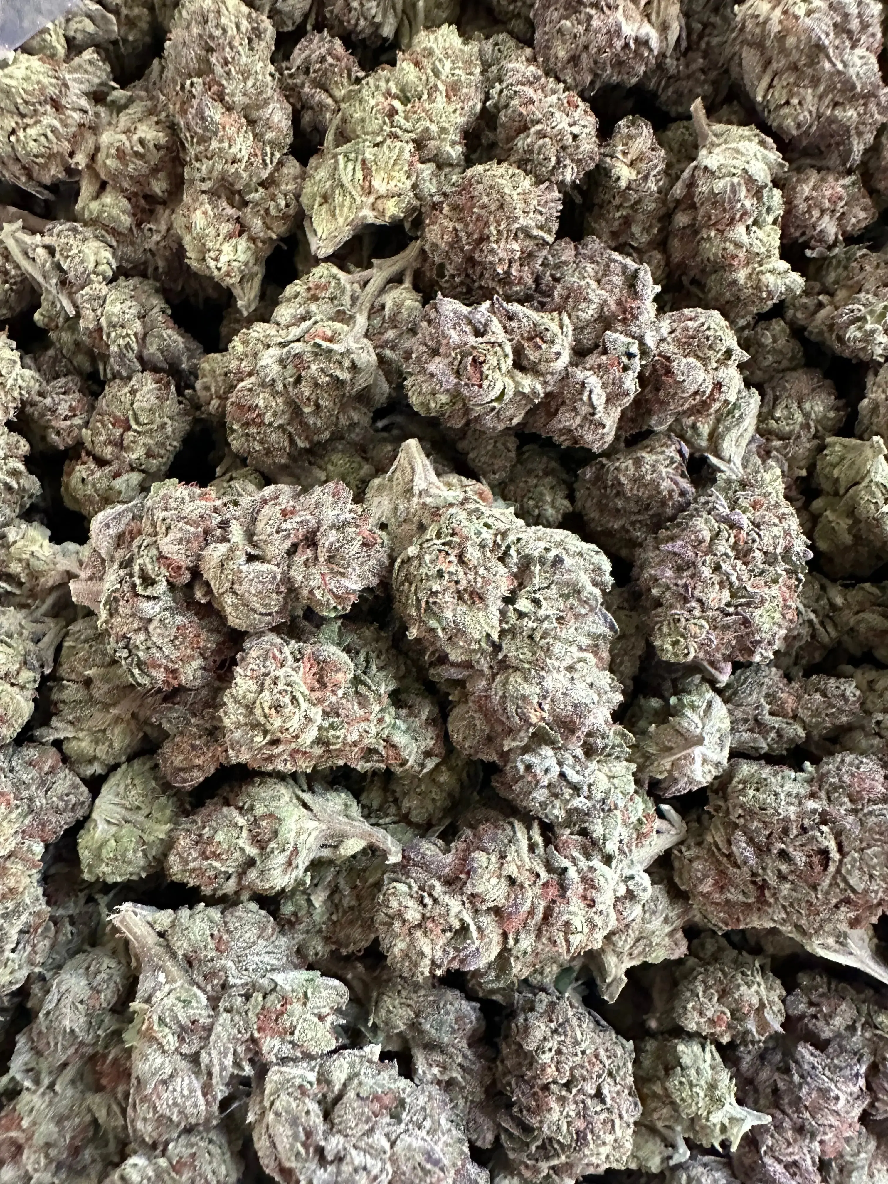 1 Pound - Exotic Jelly Zonut THCA Strain - Image 3