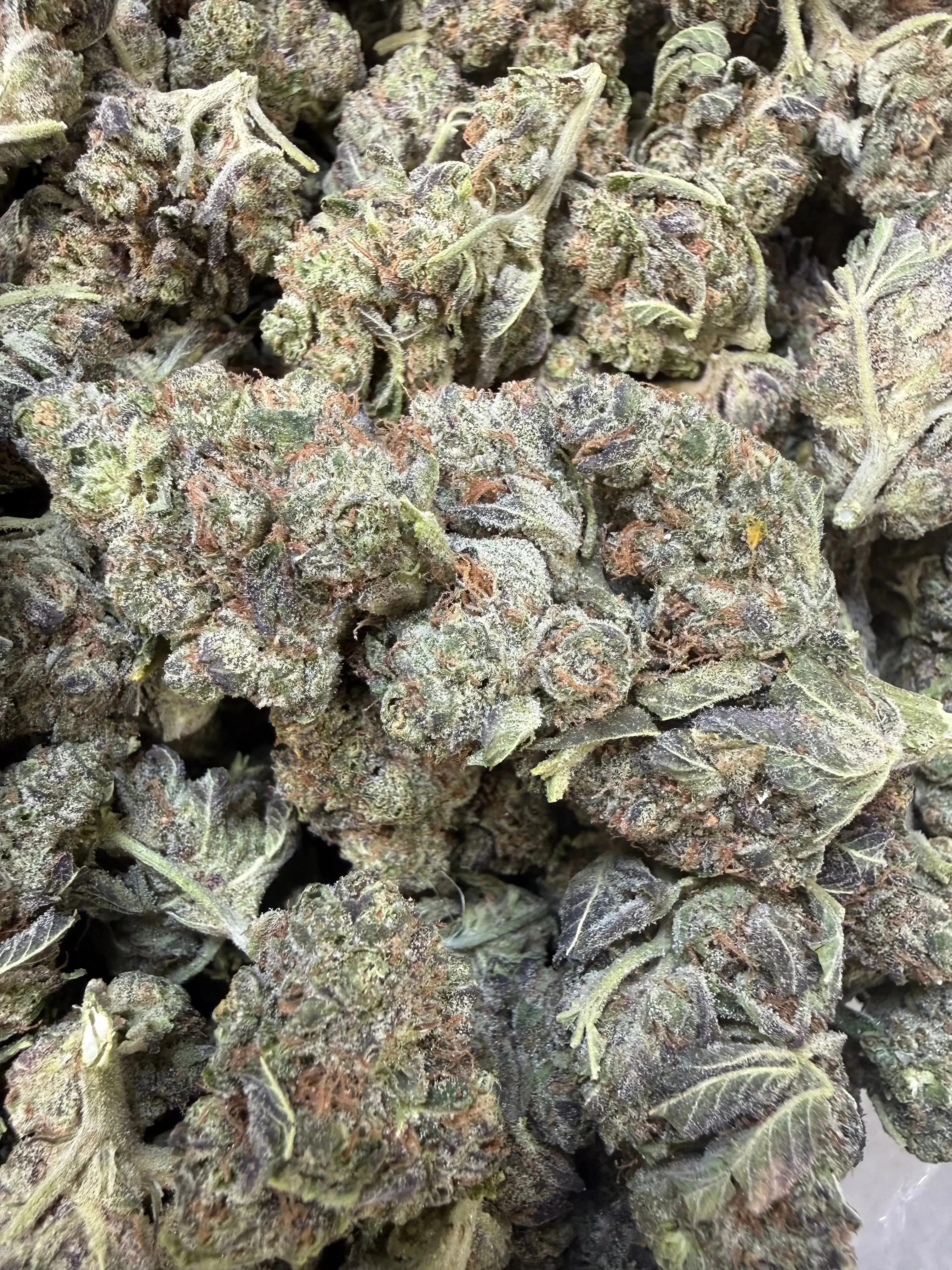 1 Pound - Federal Frost THCA Flower - Image 4