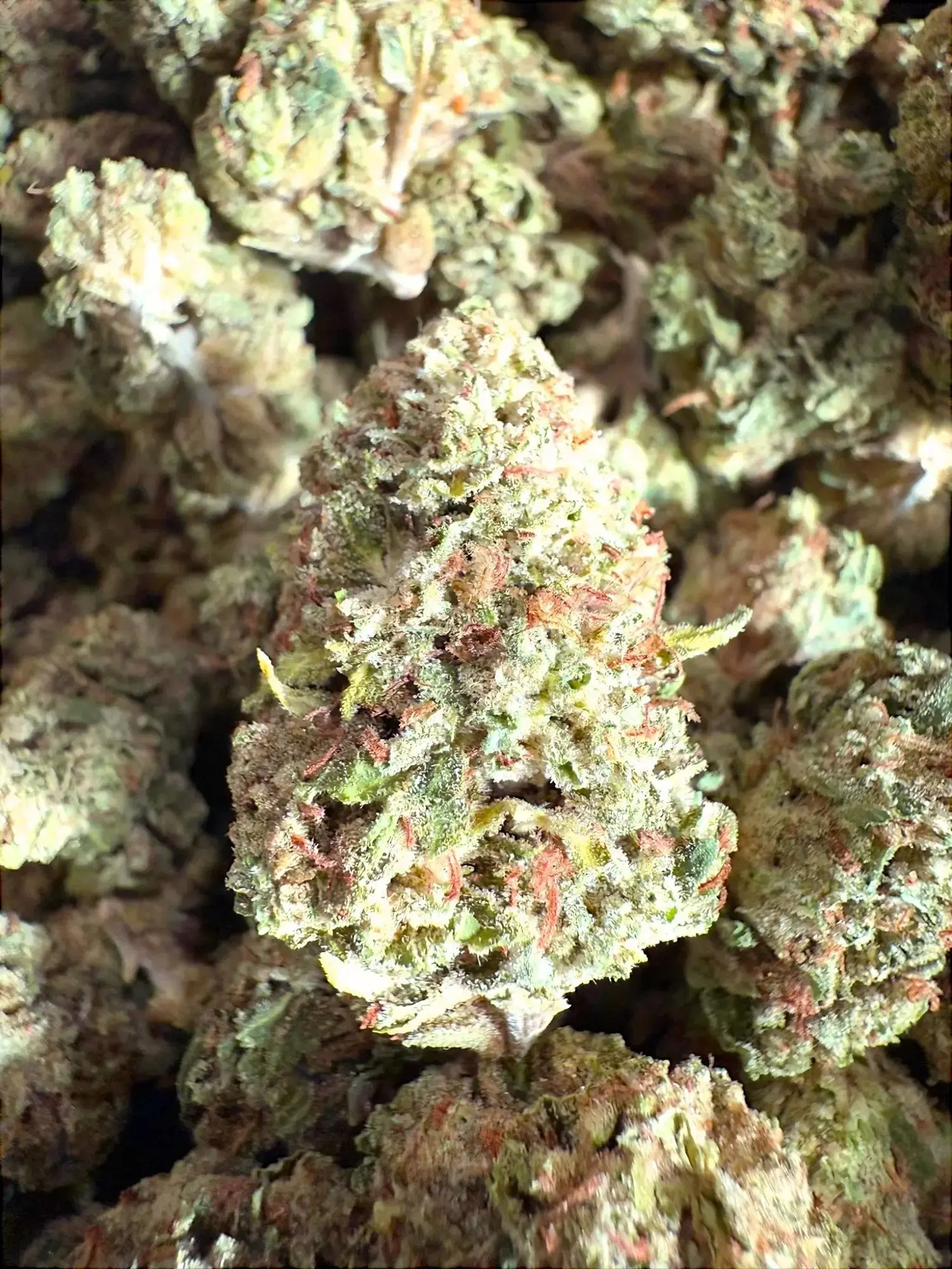 1 Pound - Holy Grail OG Strain THCA (Smalls) - Image 2