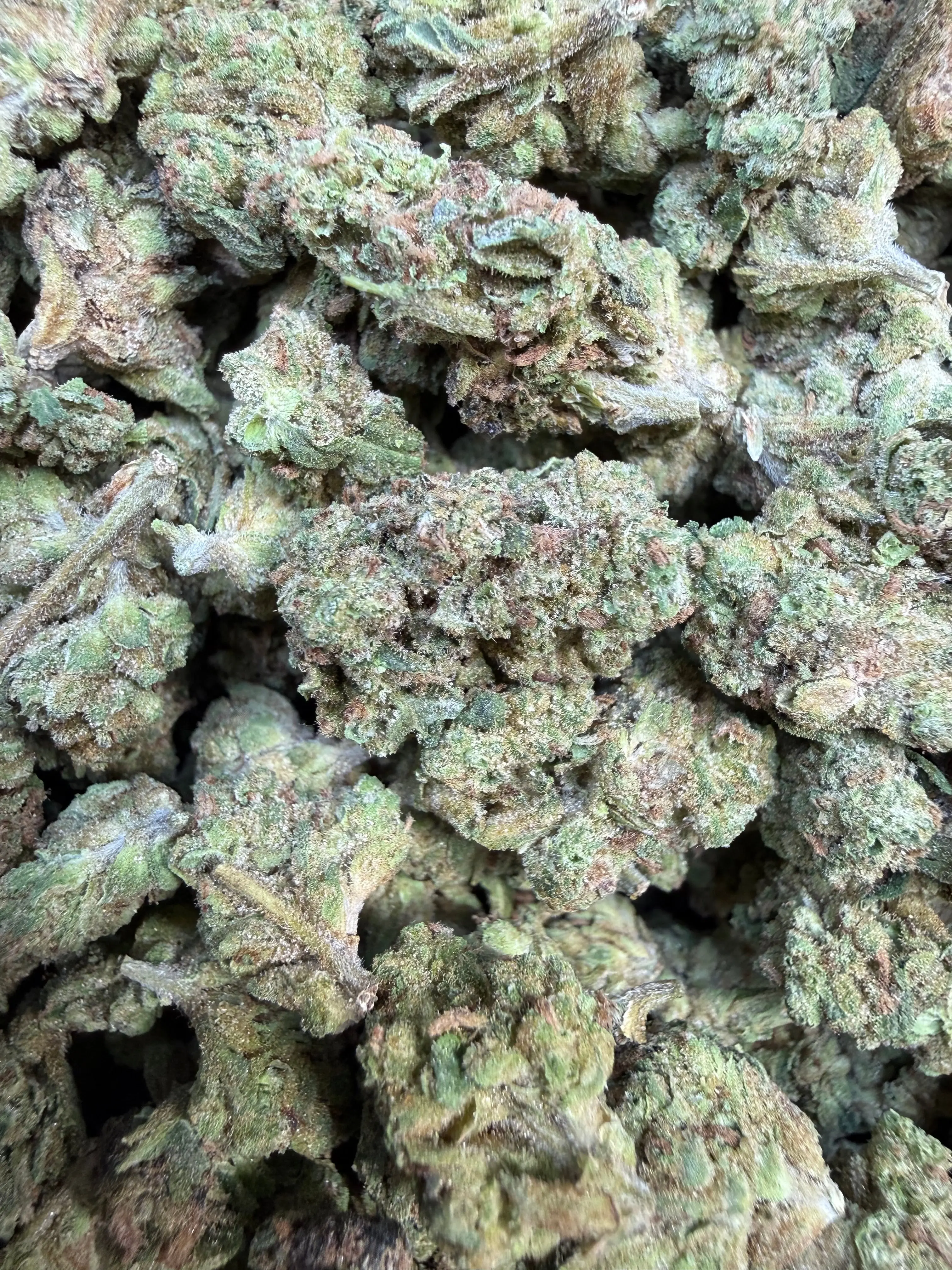 1 Pound - Ice Cream Pie THCA Strain (Small) - Image 4
