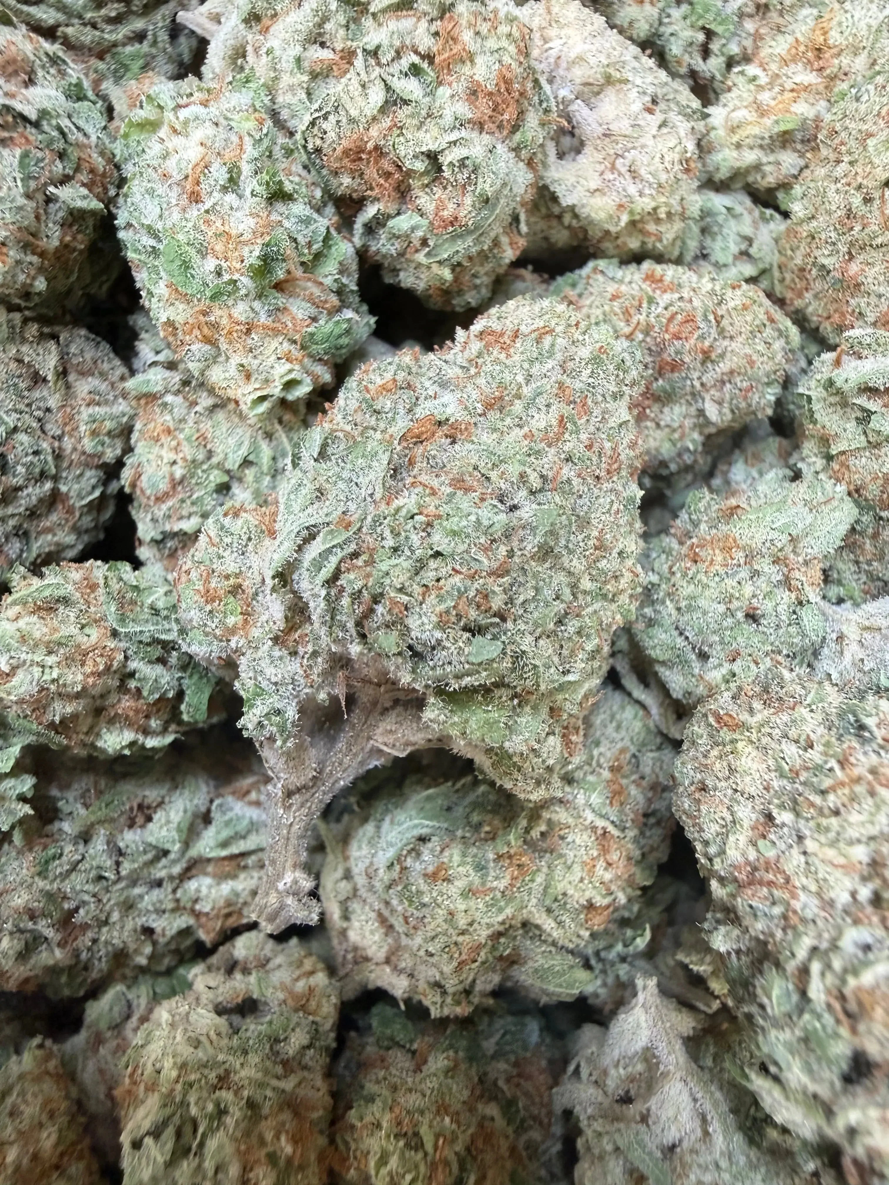 1 Pound - Jungle Juice THCA Flower - Image 2