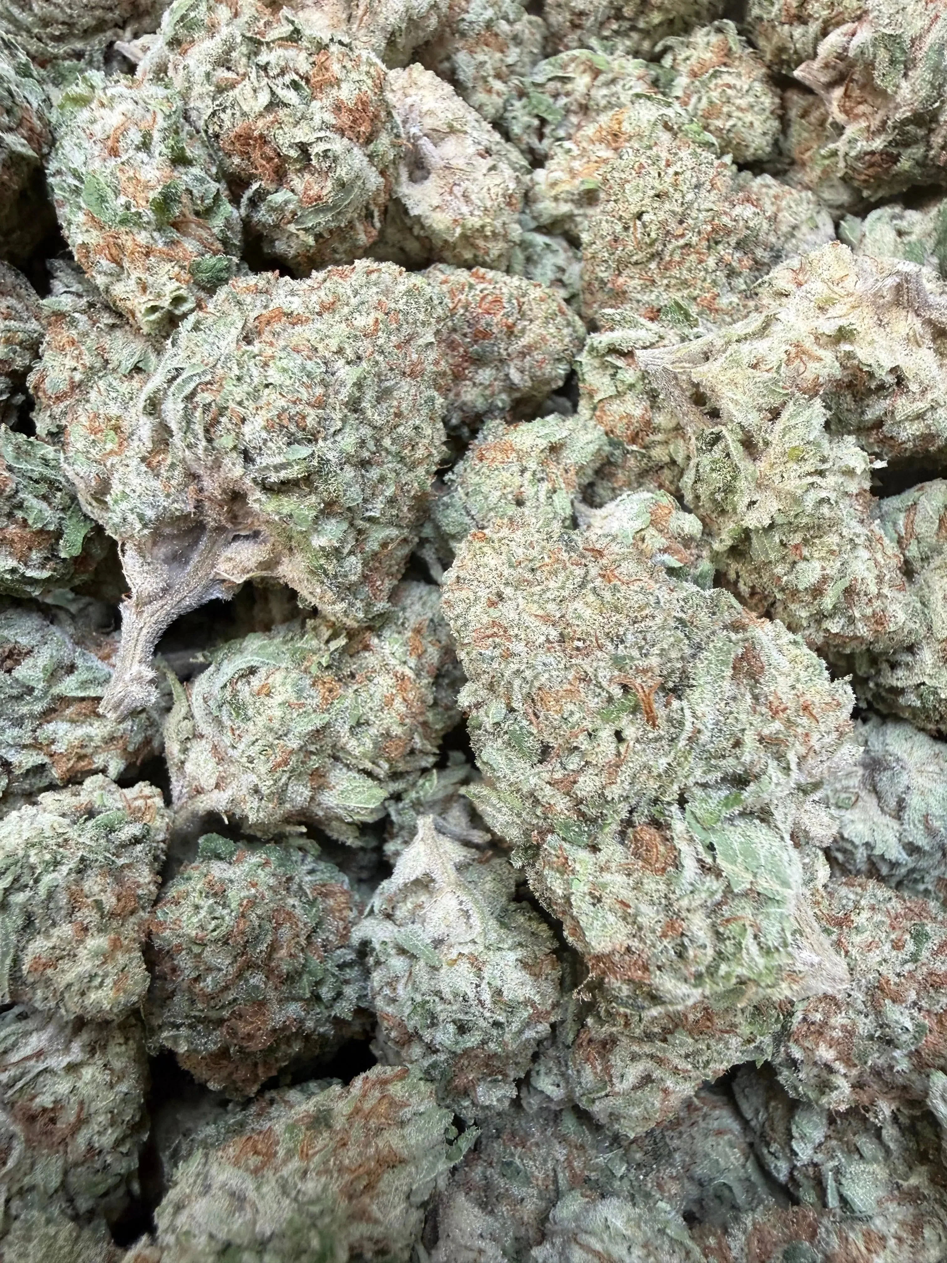 1 Pound - Jungle Juice THCA Flower - Image 3