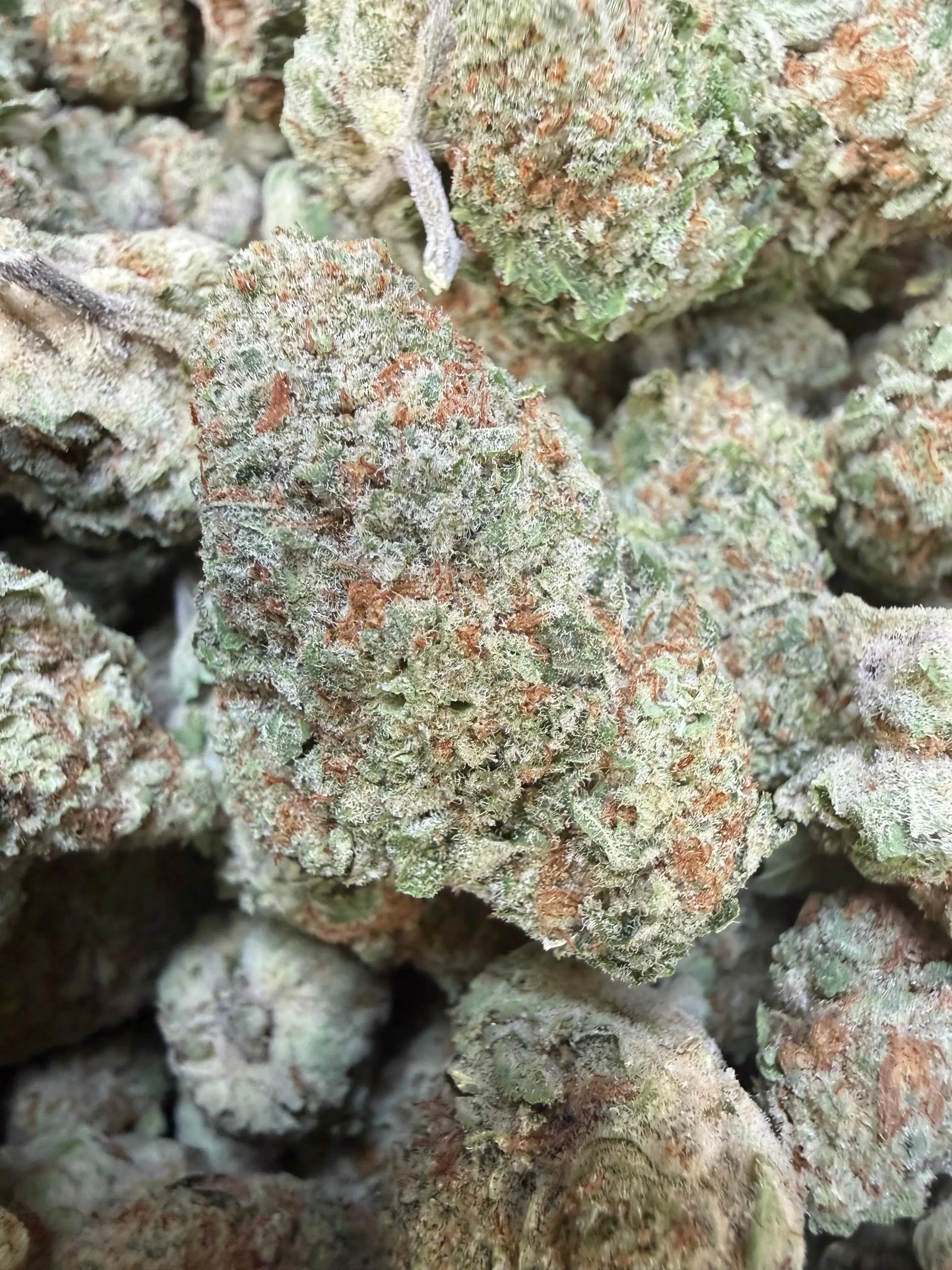 1 Pound - Jungle Juice THCA Flower - Image 4