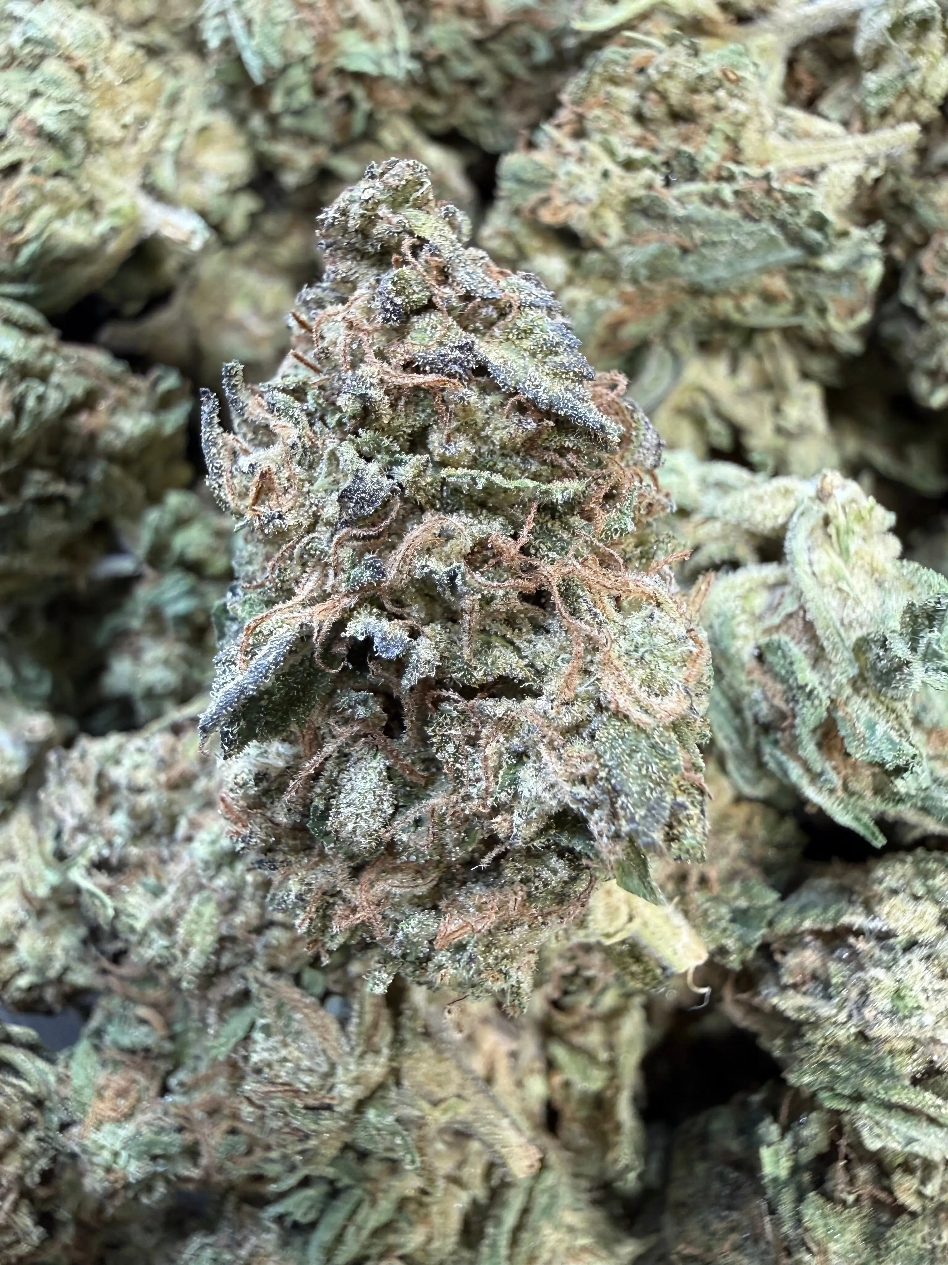 1 Pound -  King Kong Kush THCA Flower - Image 2