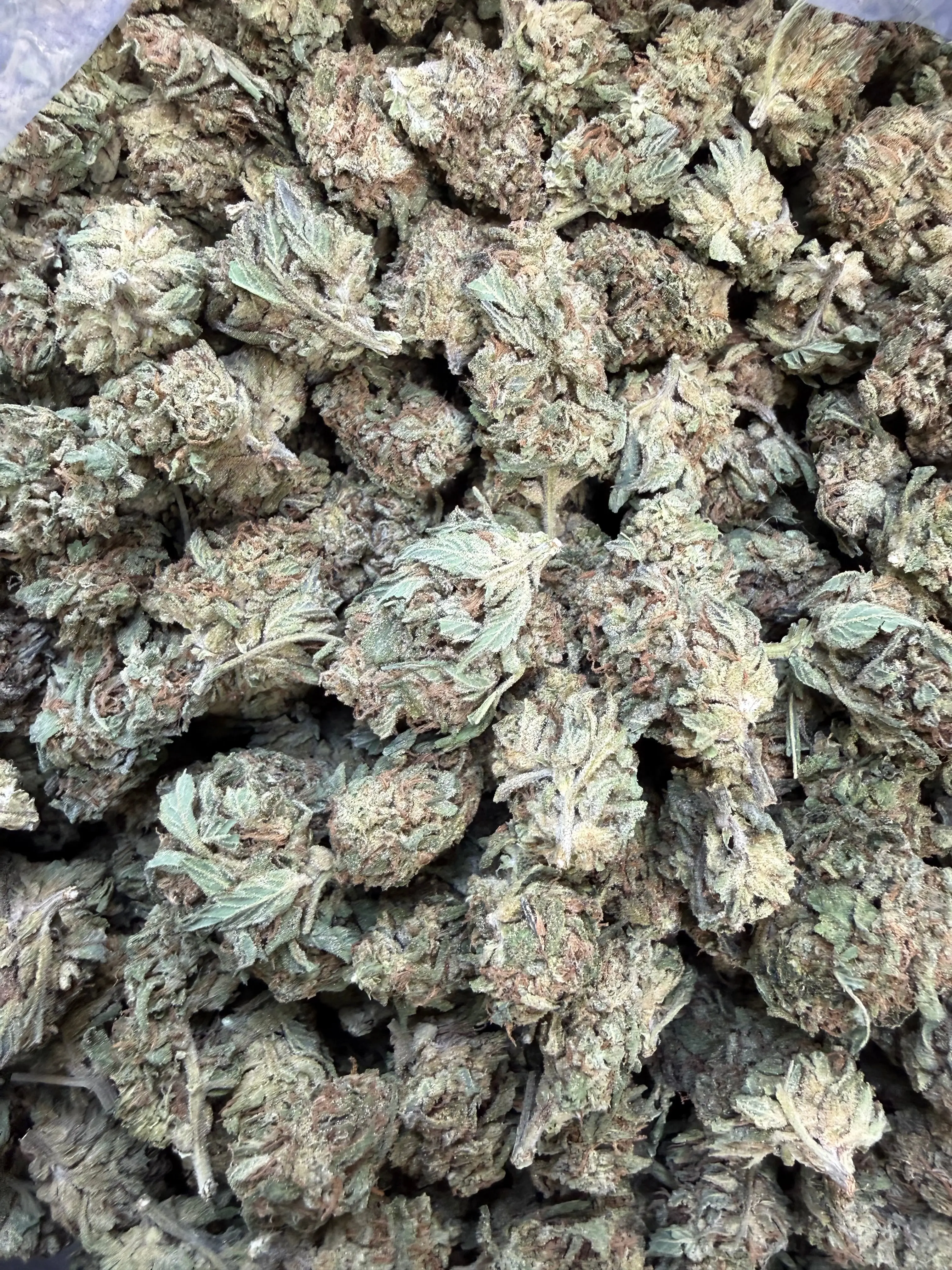 1 Pound -  King Kong Kush THCA Flower - Image 4
