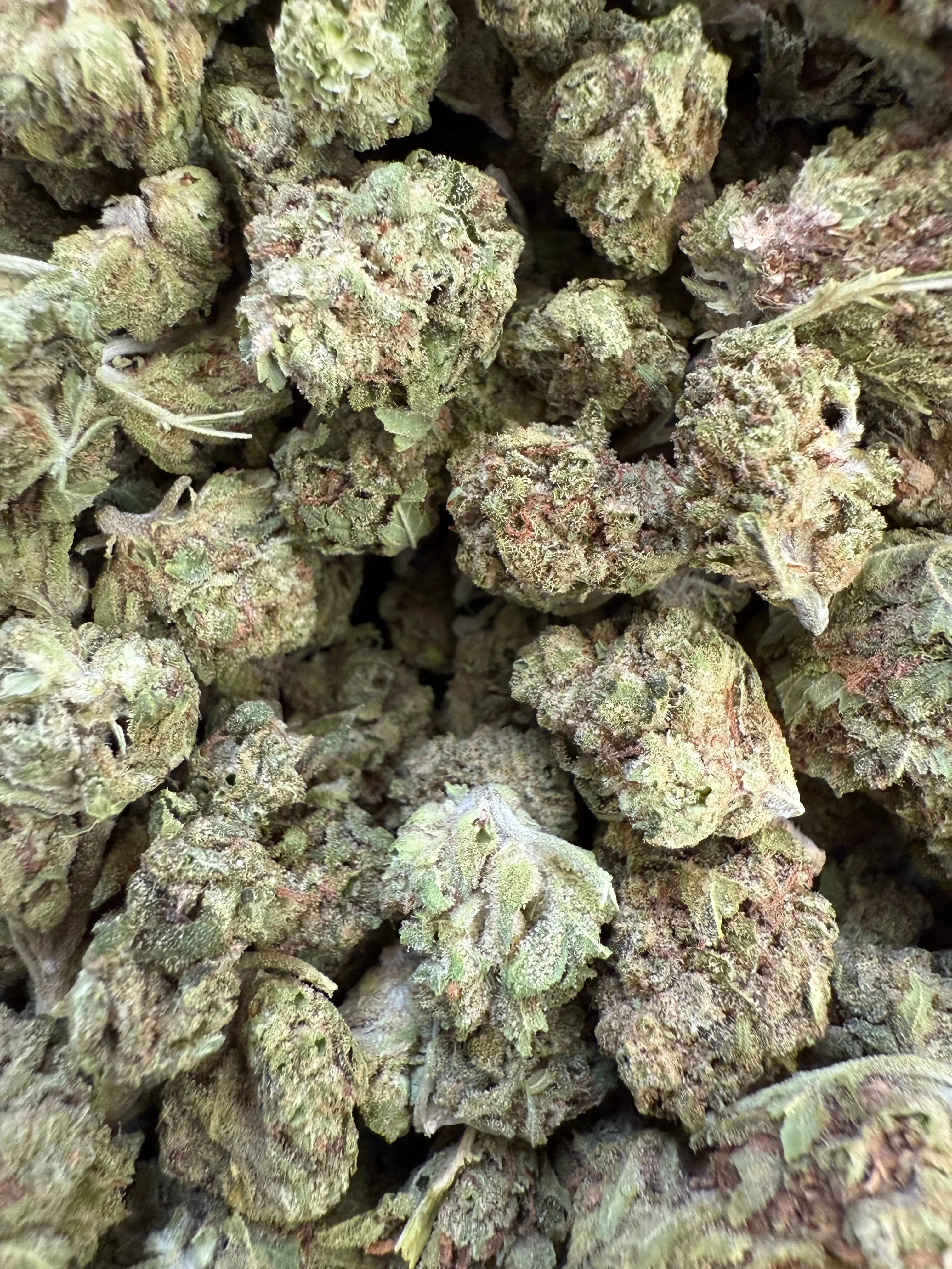 1 Pound - Kiwi THCA Smalls - Image 2