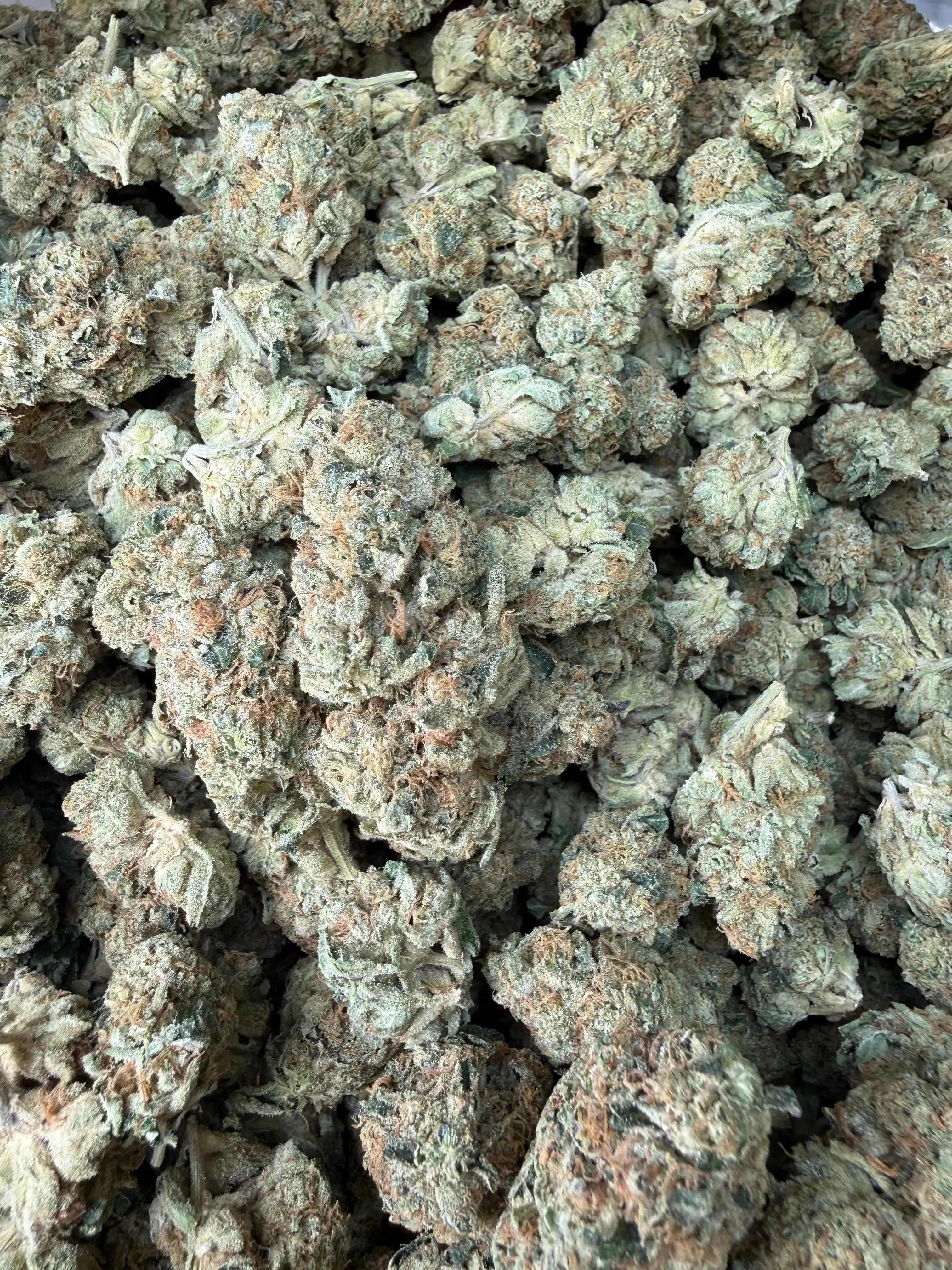 1 Pound - LA Confidential THCA Flower - Image 3