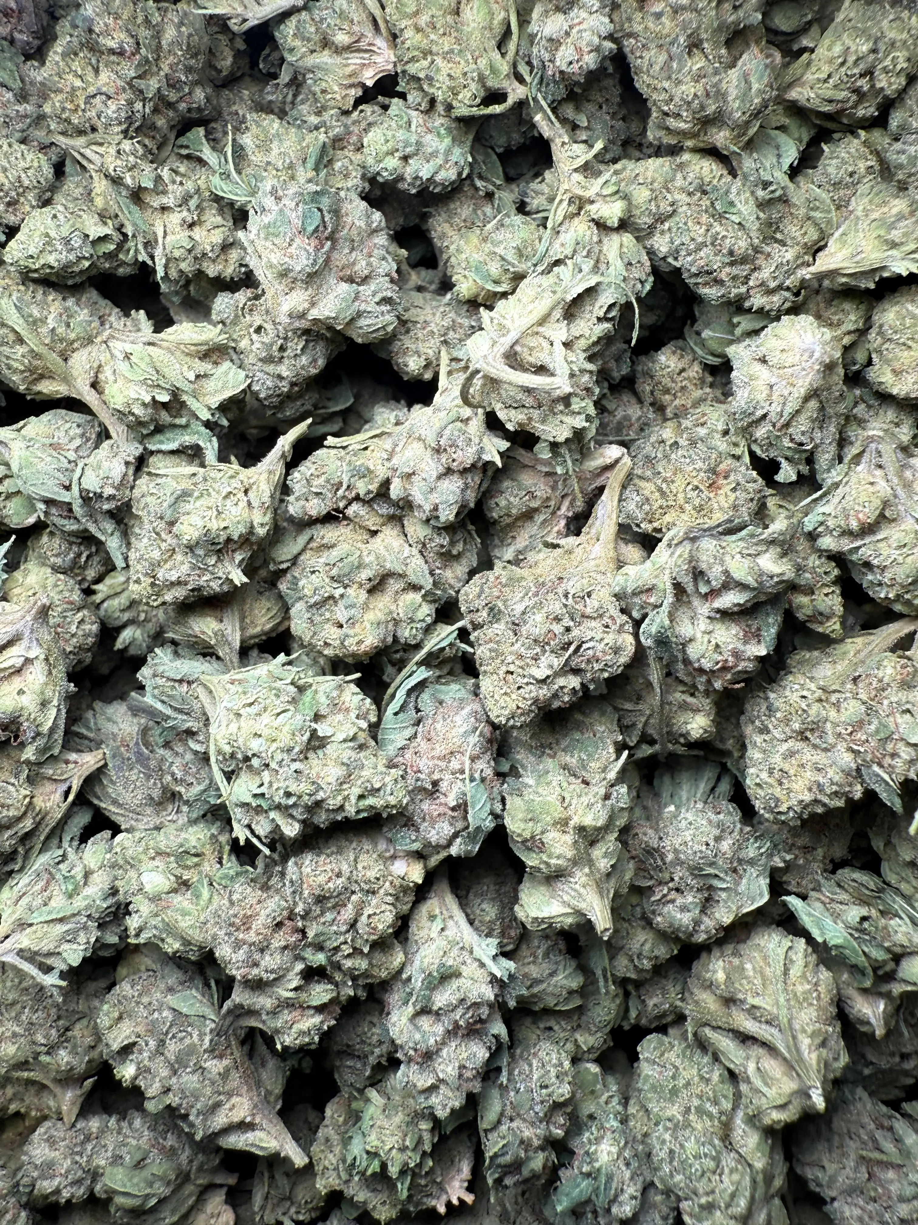 1 Pound - Legend OG THCA Strain (Smalls) - Image 4