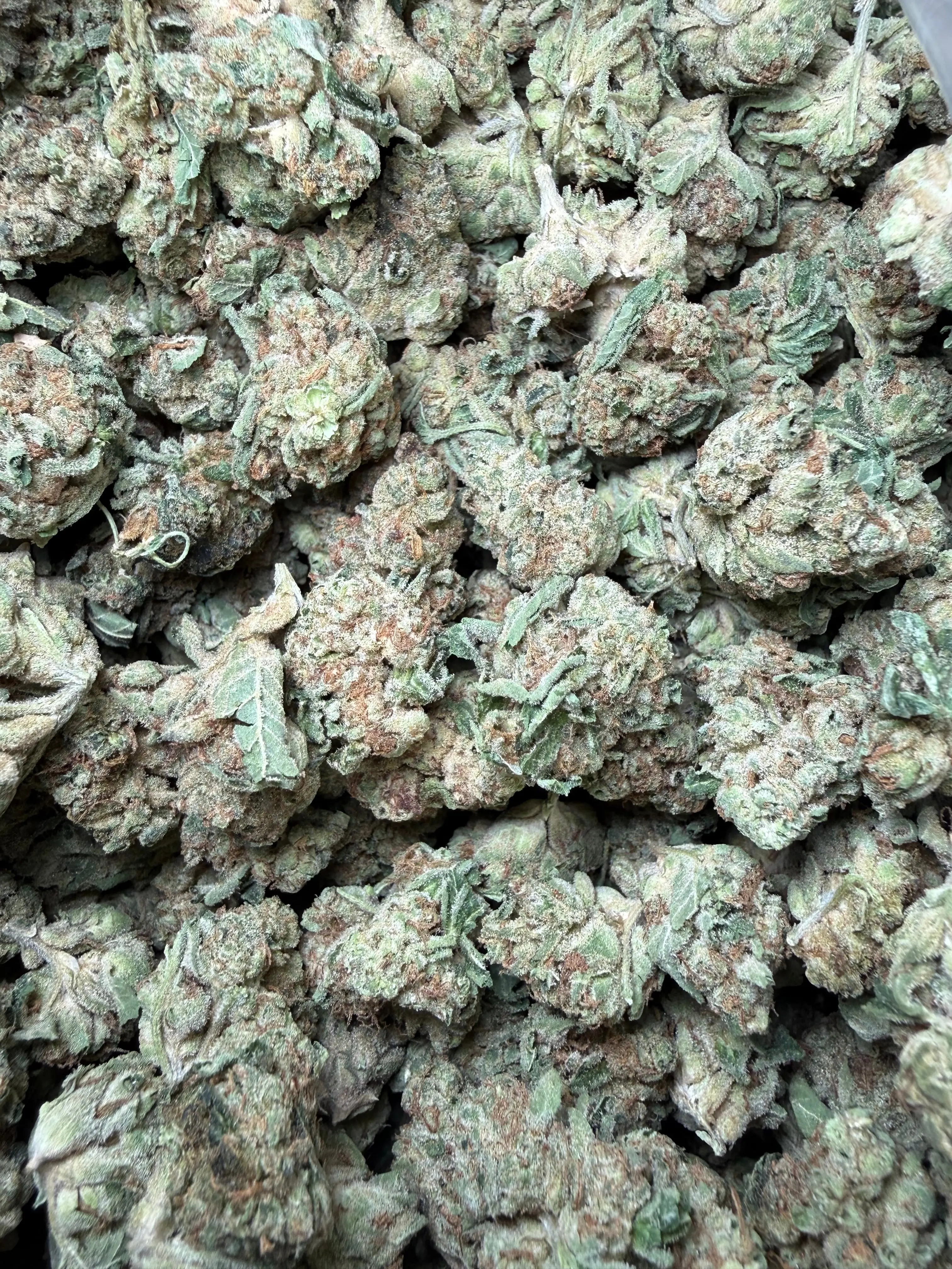 1 Pound -  Melted Banana Berry Strain (Smalls) - Image 2