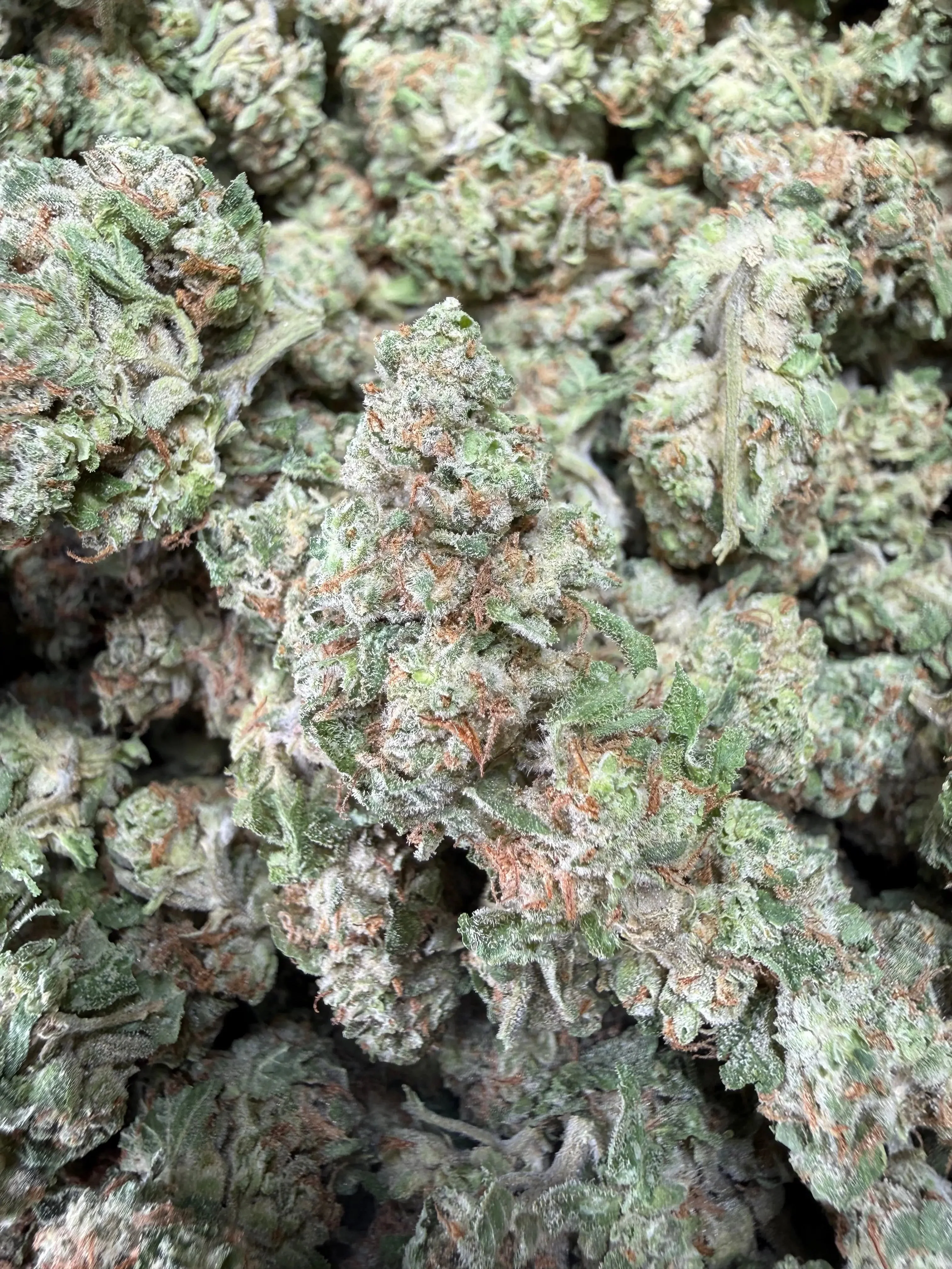 1 Pound - Midnight Fuel THCA Strain (Smalls)