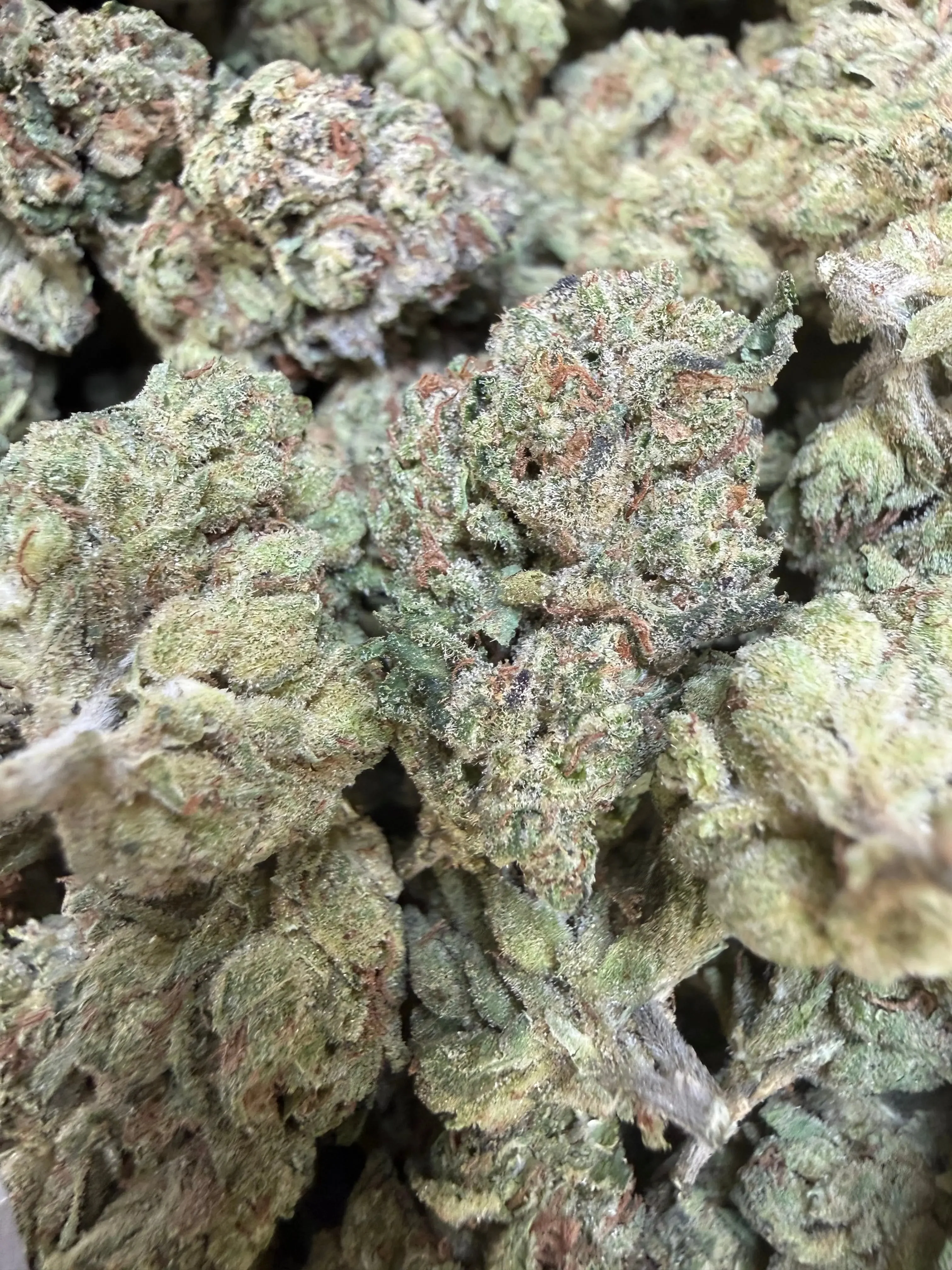1 Pound - Sherb Popz THCA Strain - Image 2