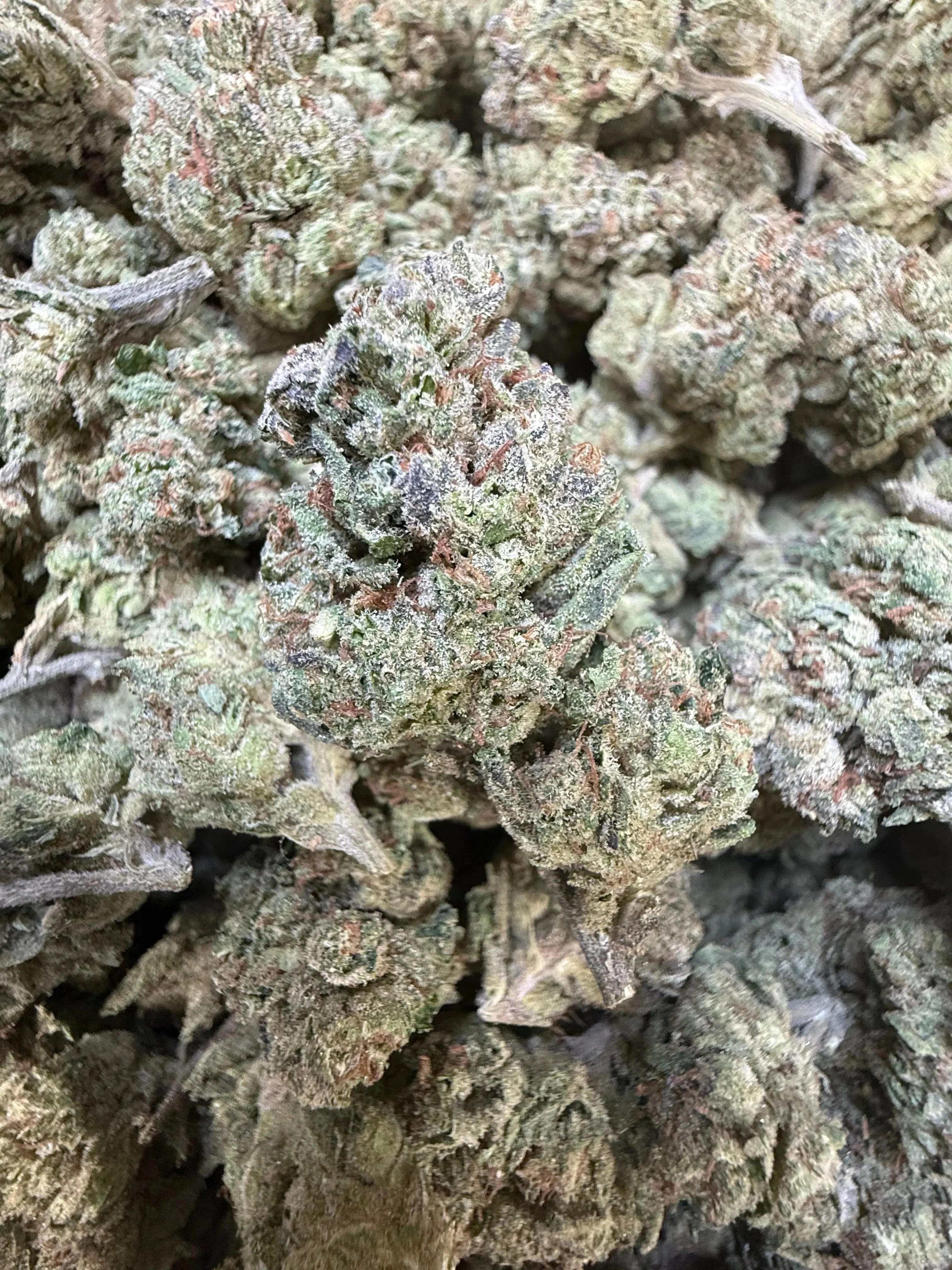 1 Pound - Sherb Popz THCA Strain - Image 3