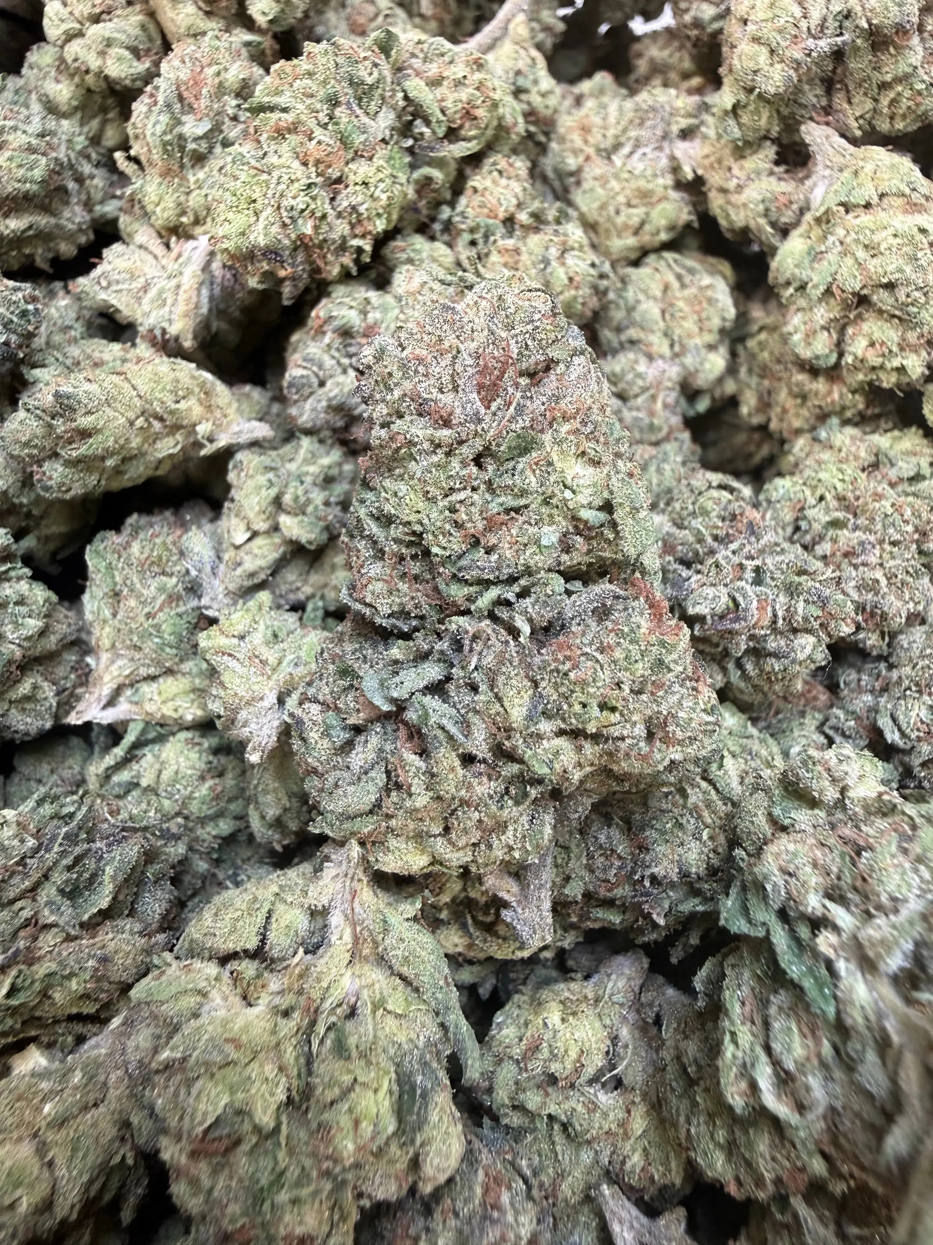 1 Pound - Sherb Popz THCA Strain - Image 4