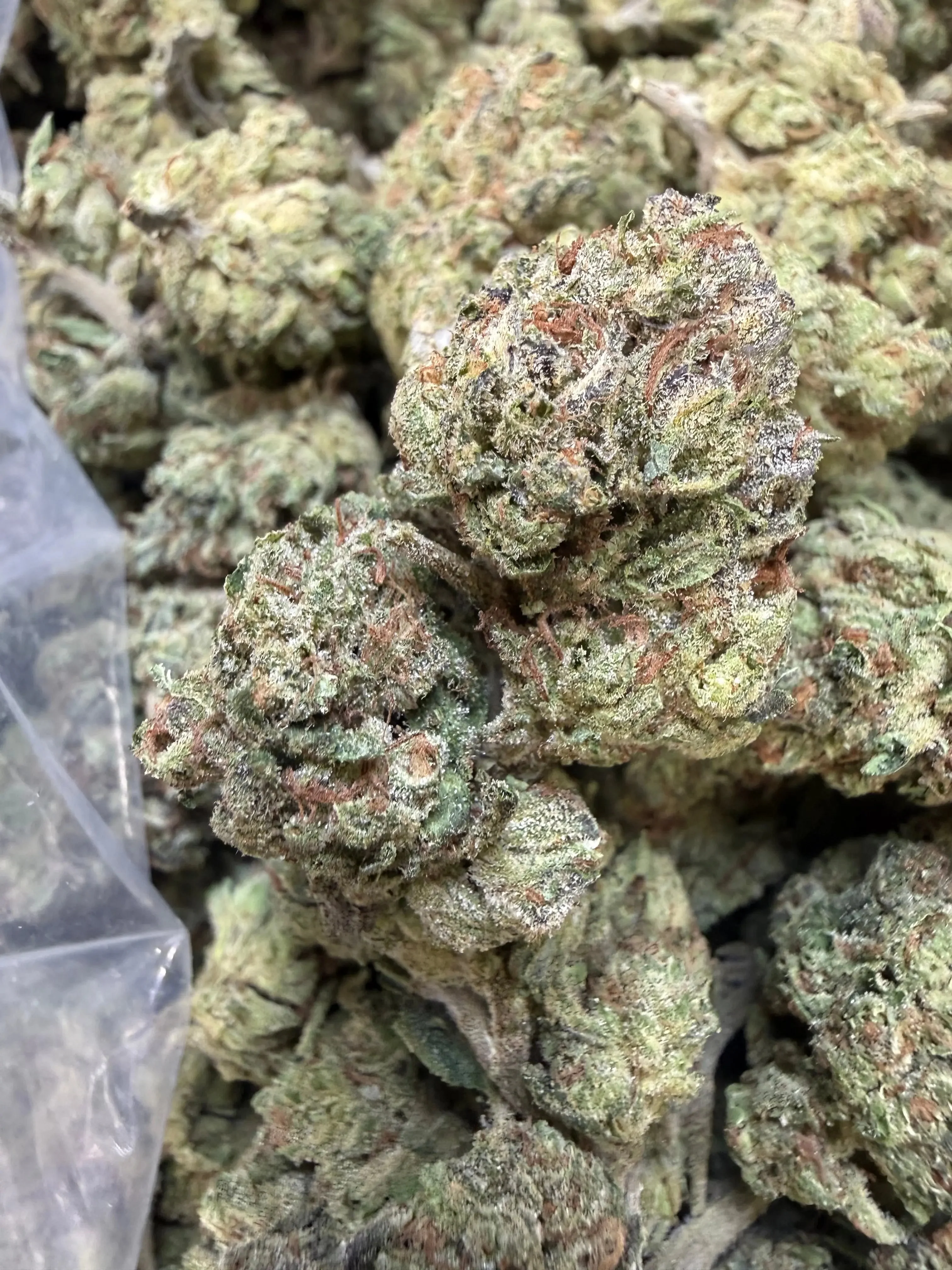1 Pound - Sherb Popz THCA Strain - Image 5