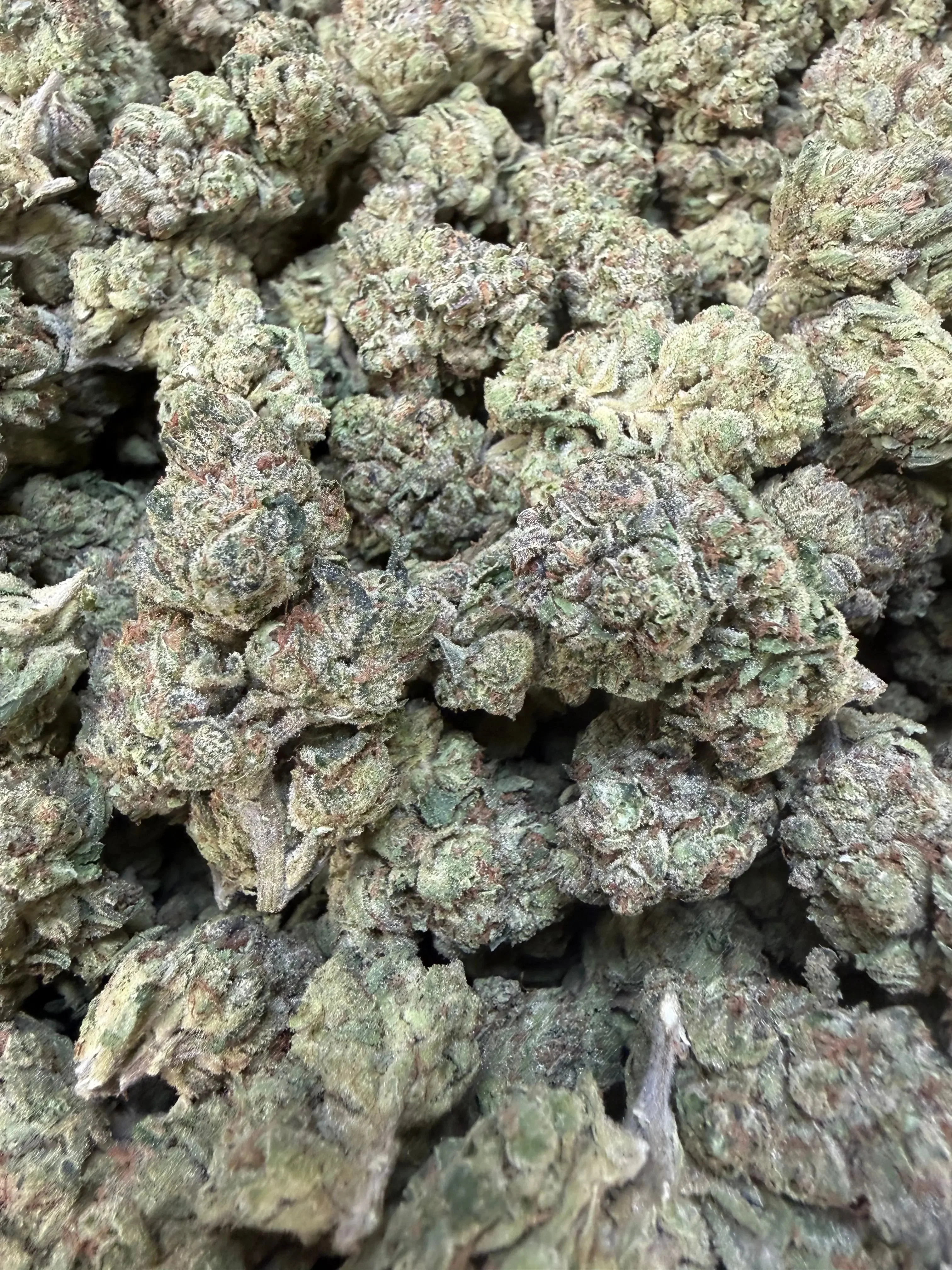 1 Pound - Sherb Popz THCA Strain - Image 6