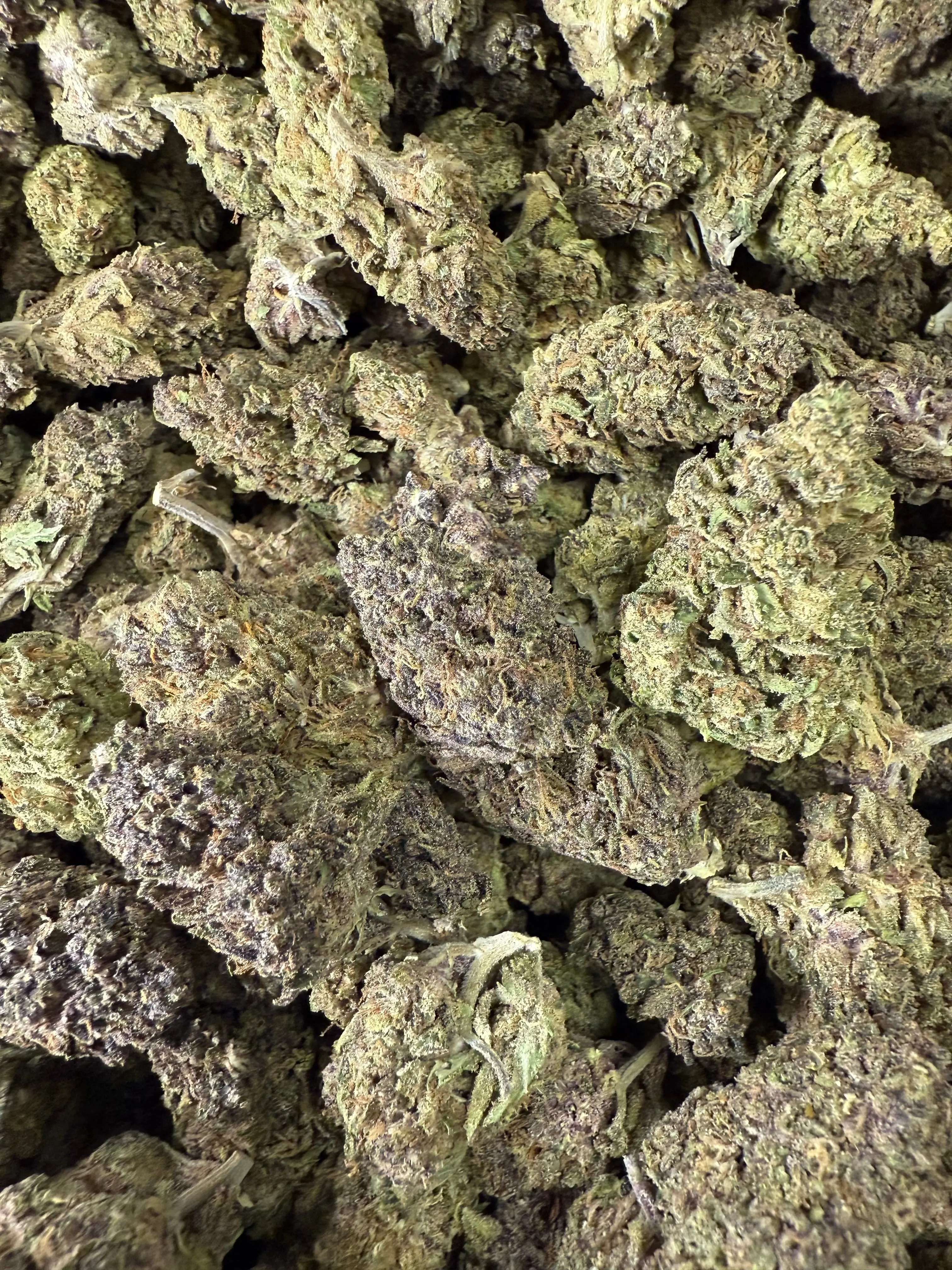 1 Pound of Catholic School Girl THCA - Image 2