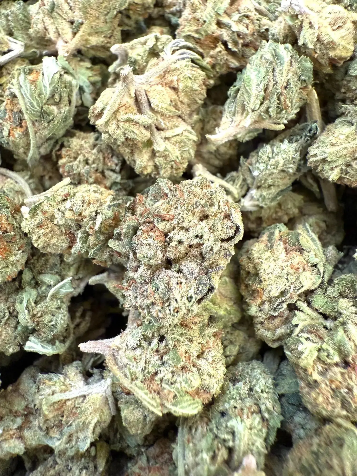 1 Pound of Gelato #41 THCA (Smalls)