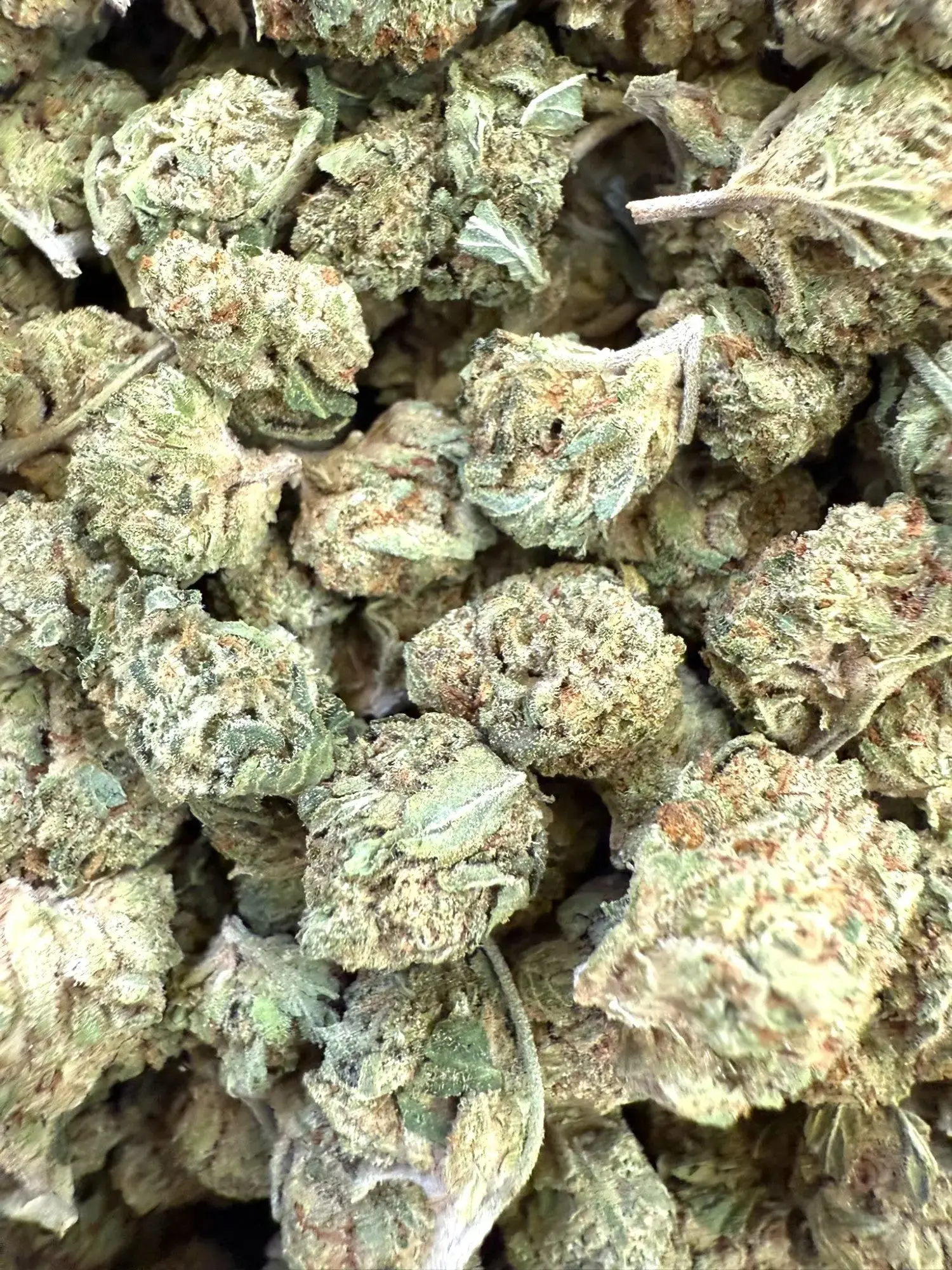 1 Pound of Gelato #41 THCA (Smalls) - Image 2
