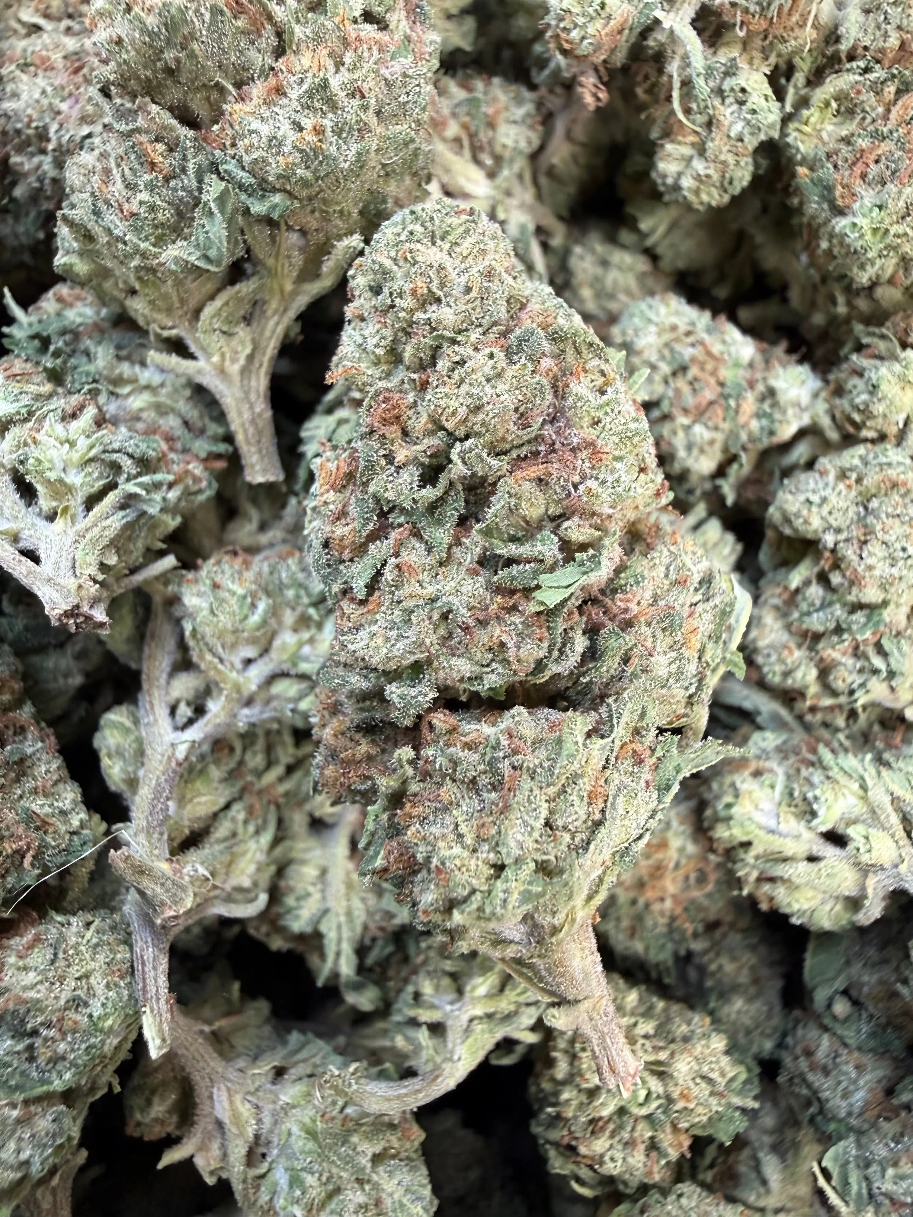 1 Pound of Strawberry Gelato THCA Flower - Image 2