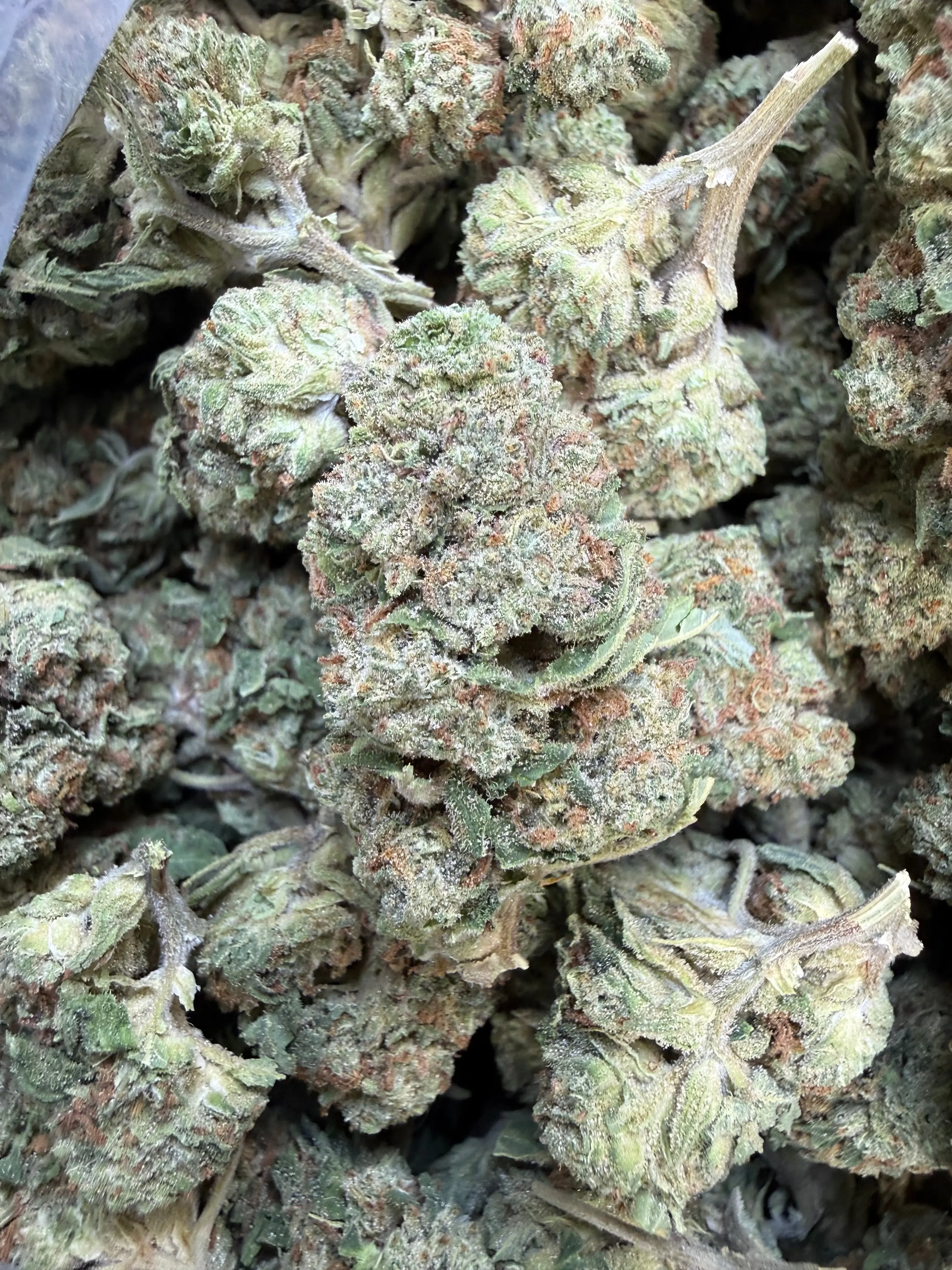 1 Pound of Strawberry Gelato THCA Flower - Image 5