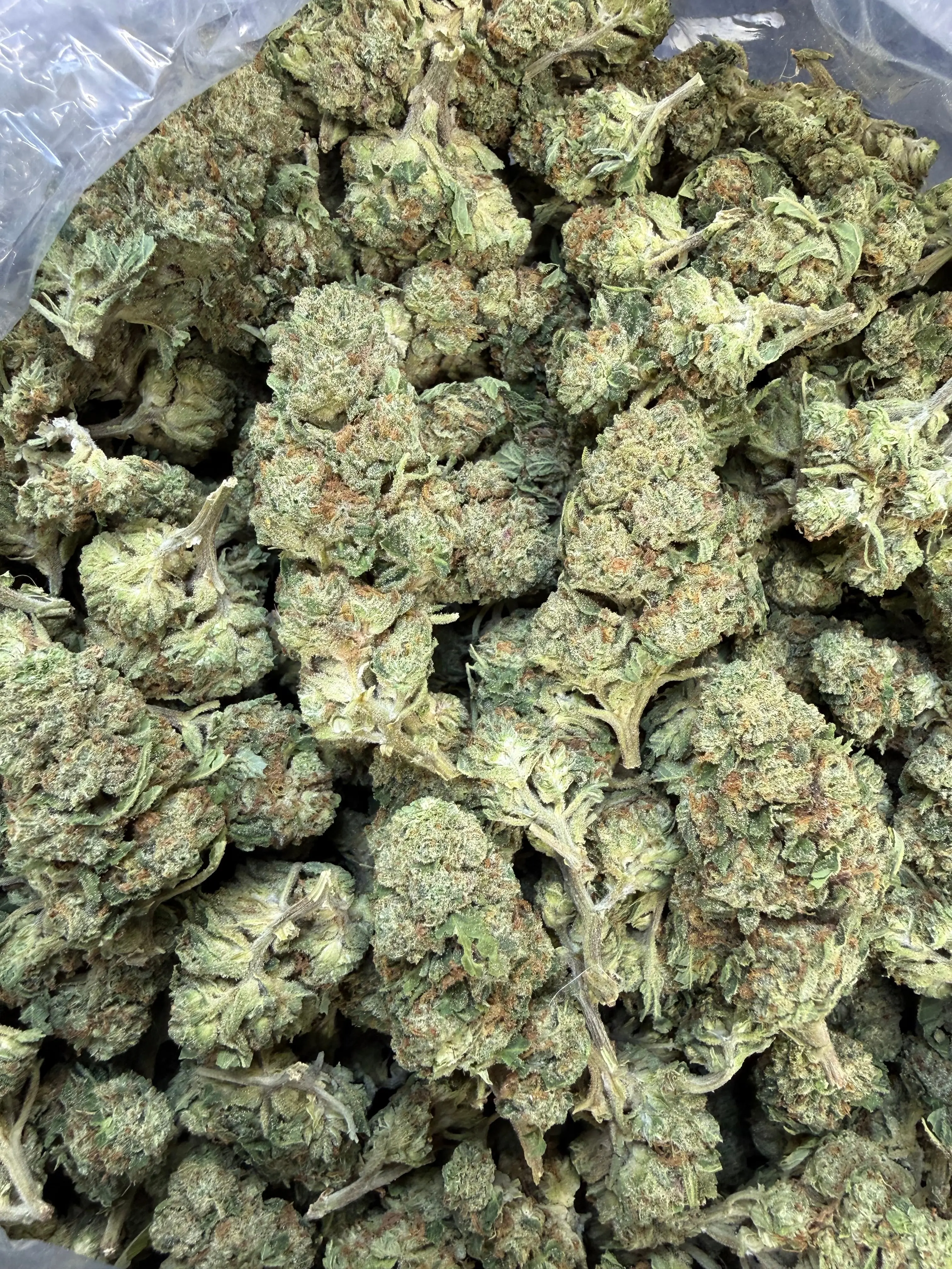 1 Pound of Strawberry Gelato THCA Flower - Image 6