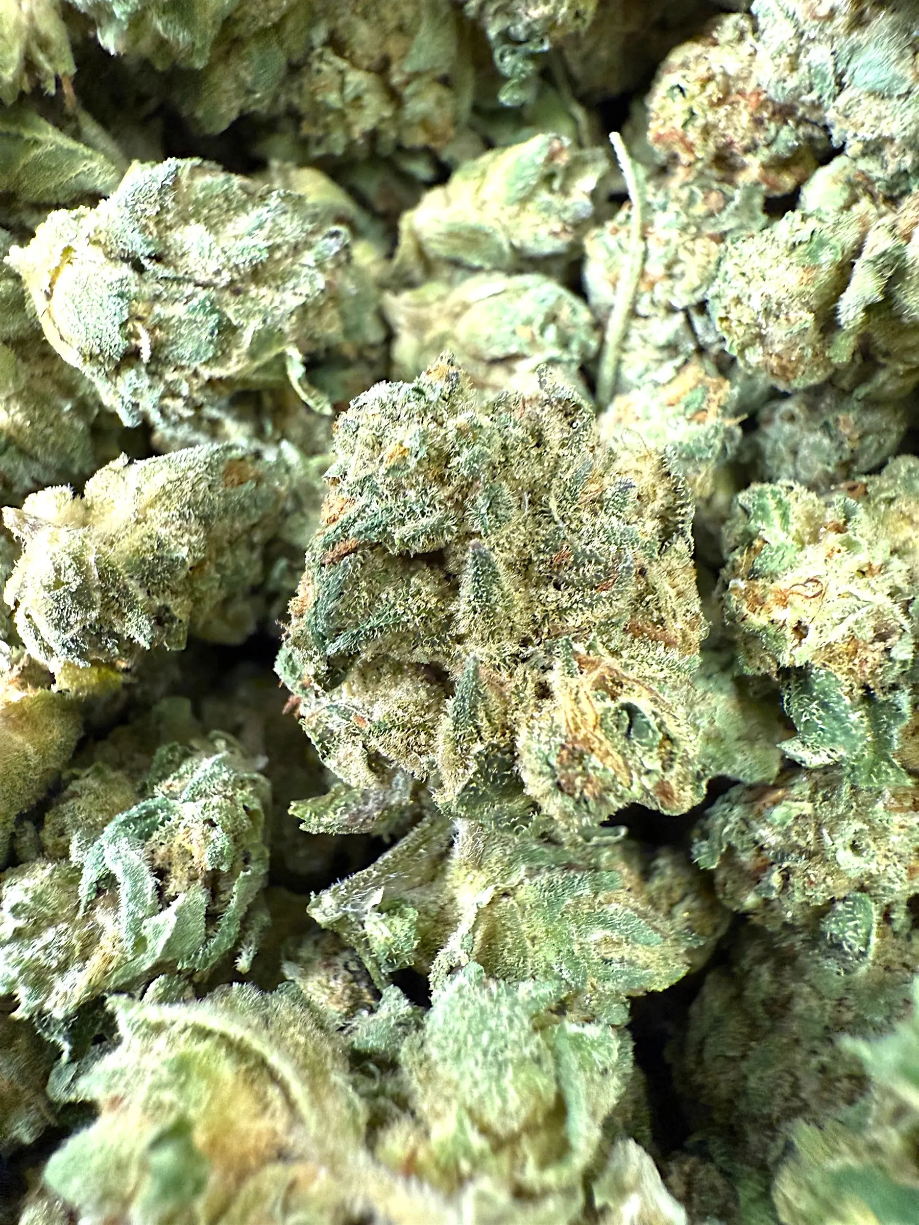 1 Pound of Zlurpee THCA (Smalls)