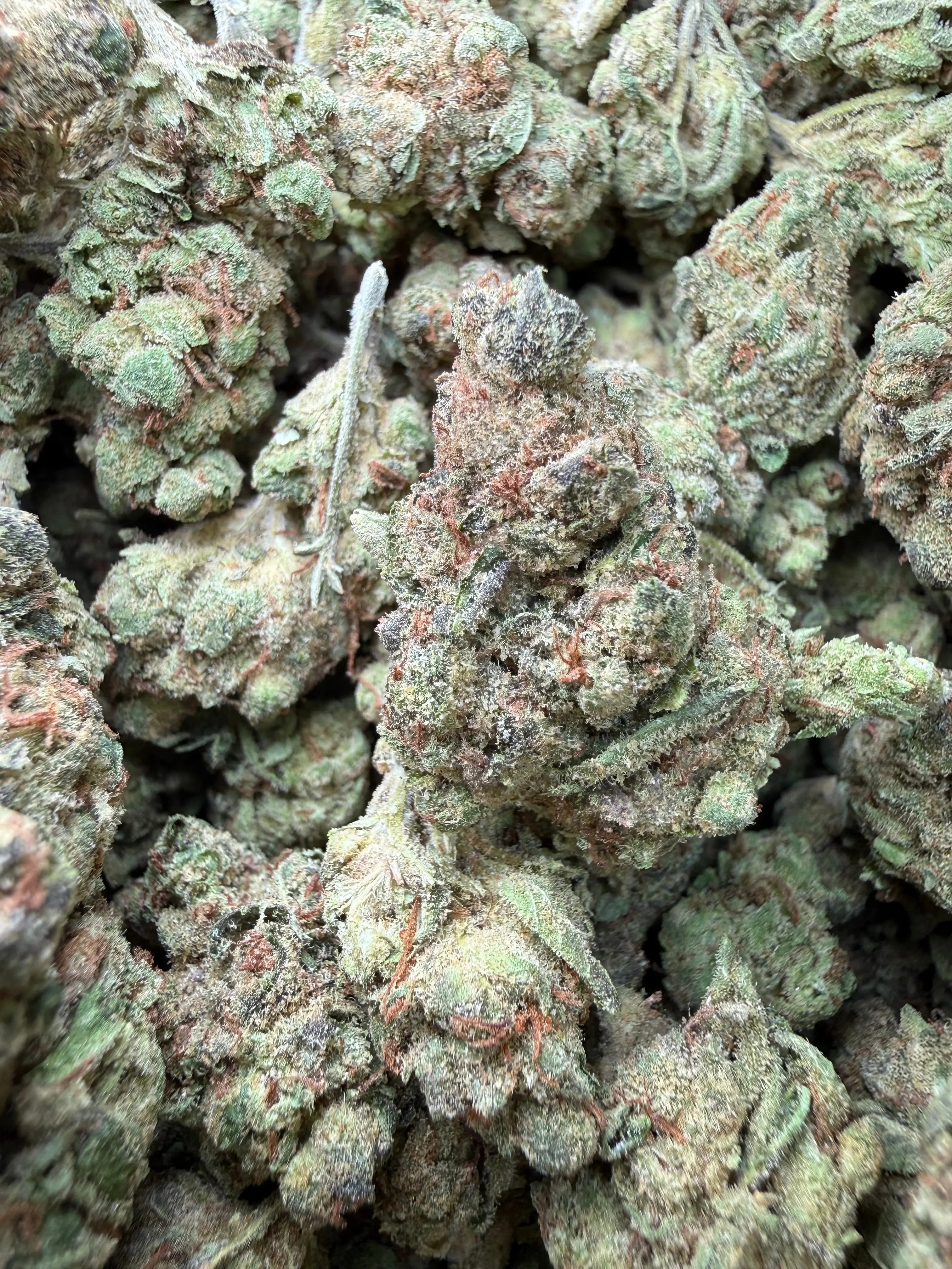 1 Pound - Pink Death Star THCA Flower