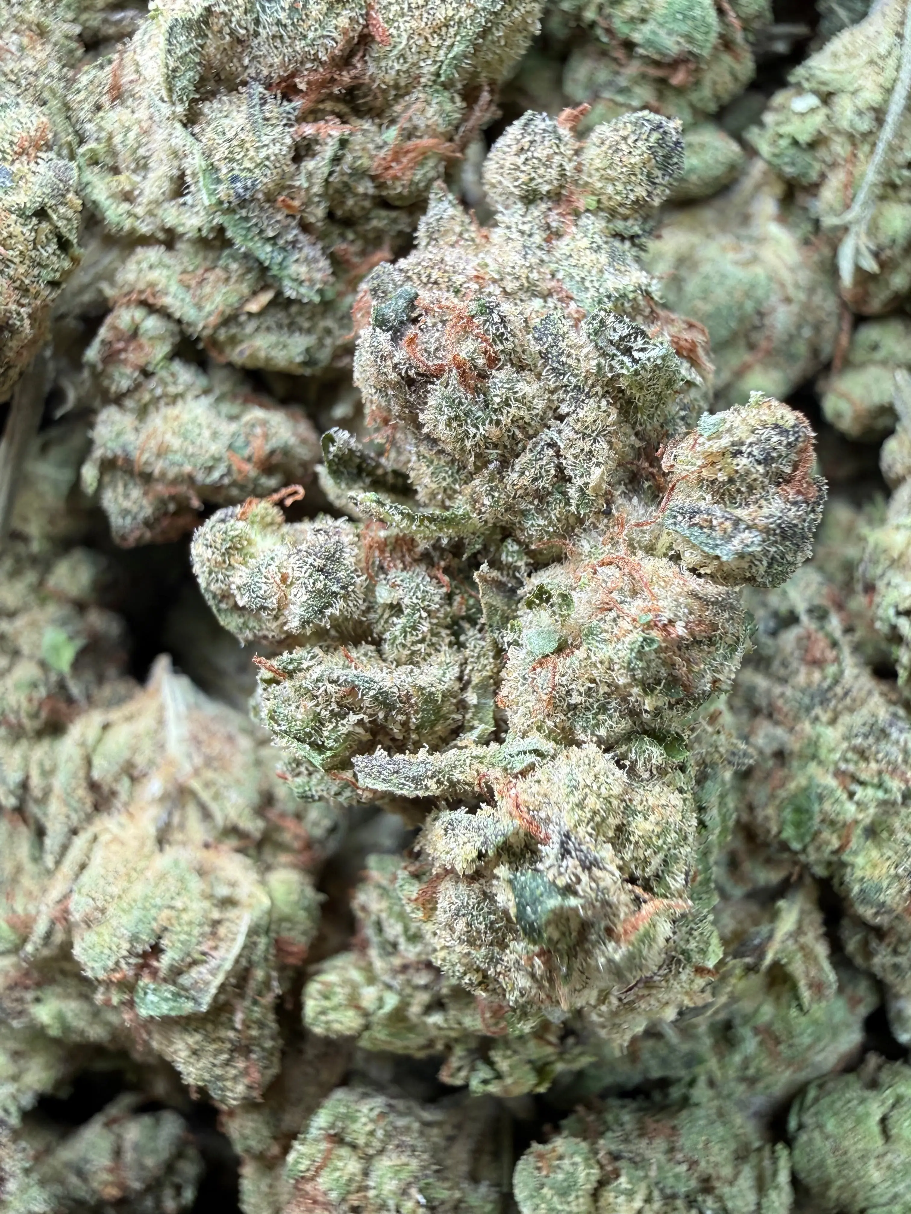 1 Pound - Pink Death Star THCA Flower - Image 2
