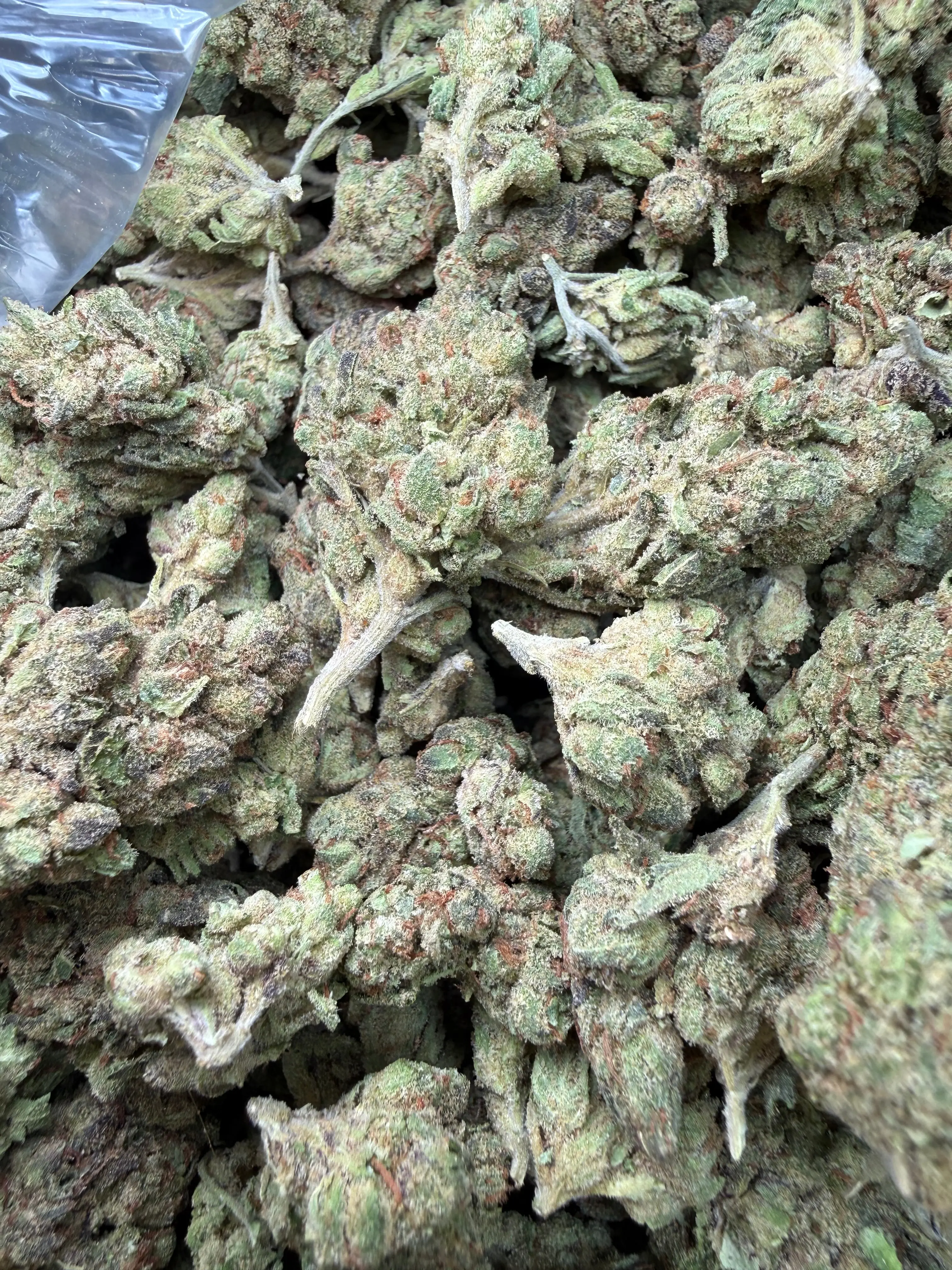 1 Pound - Pink Death Star THCA Flower - Image 5