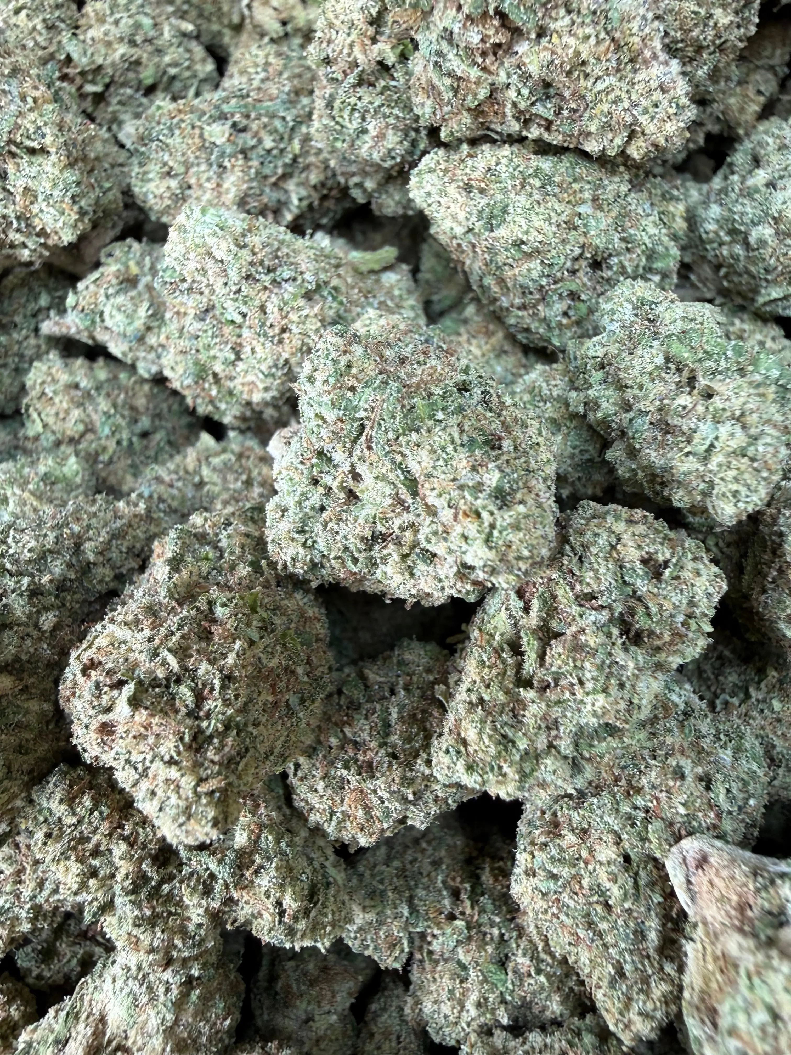 1 Pound - Pink Rozay THCA Strain - Image 2