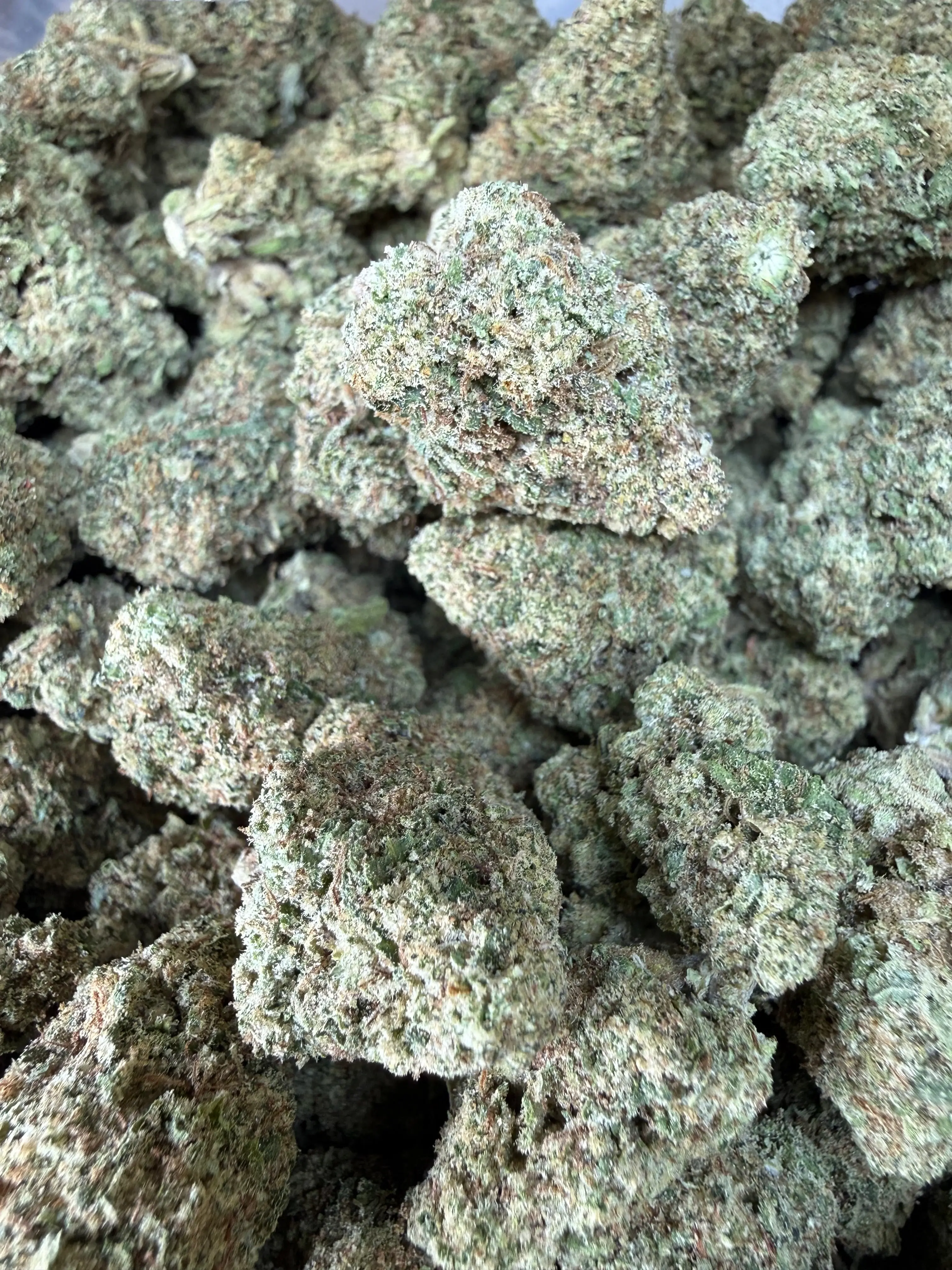 1 Pound - Pink Rozay THCA Strain - Image 3
