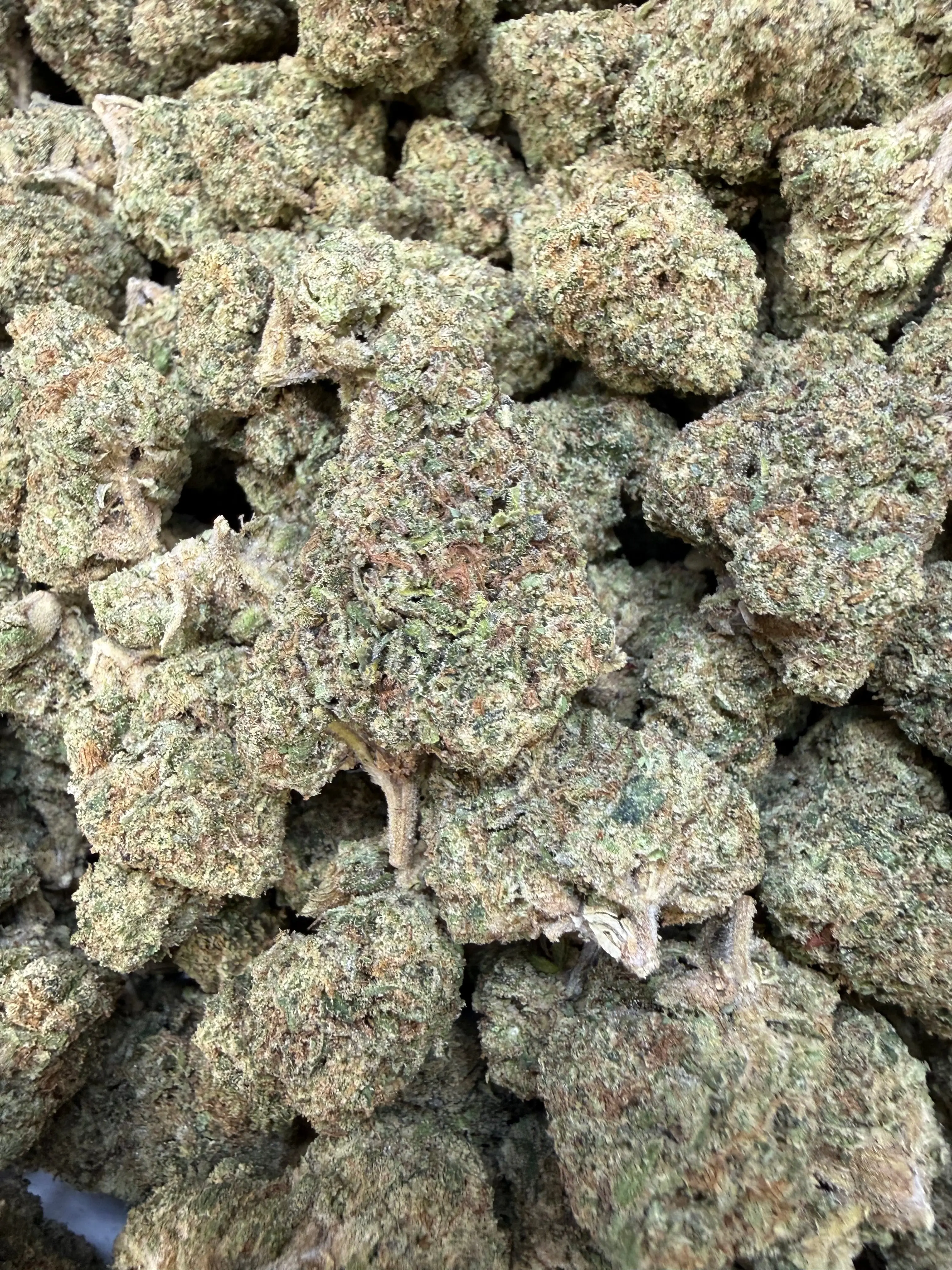 1 Pound - Pink Rozay THCA Strain - Image 5