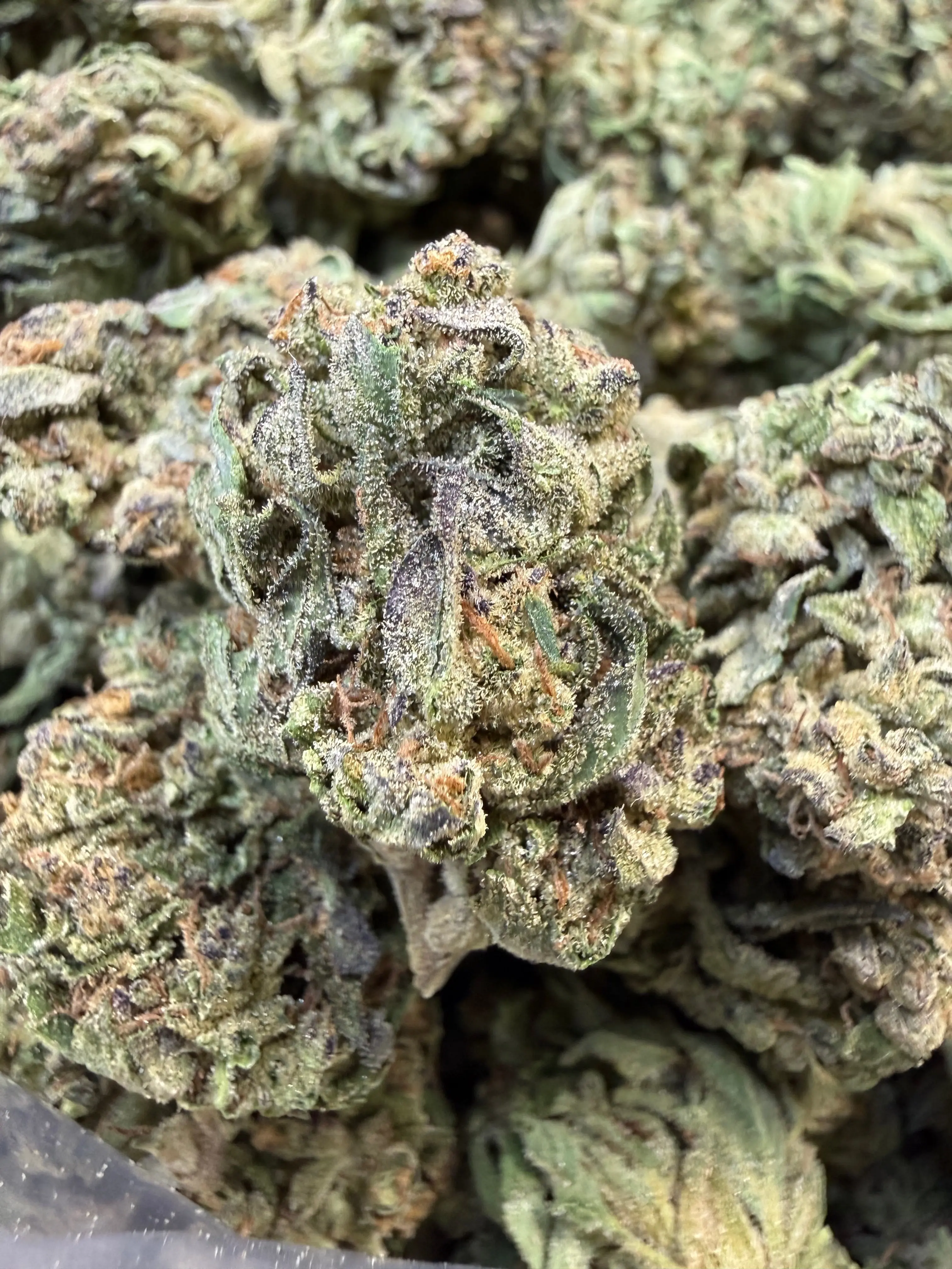 1 Pound - Pink Rozay THCA Flower - Image 6