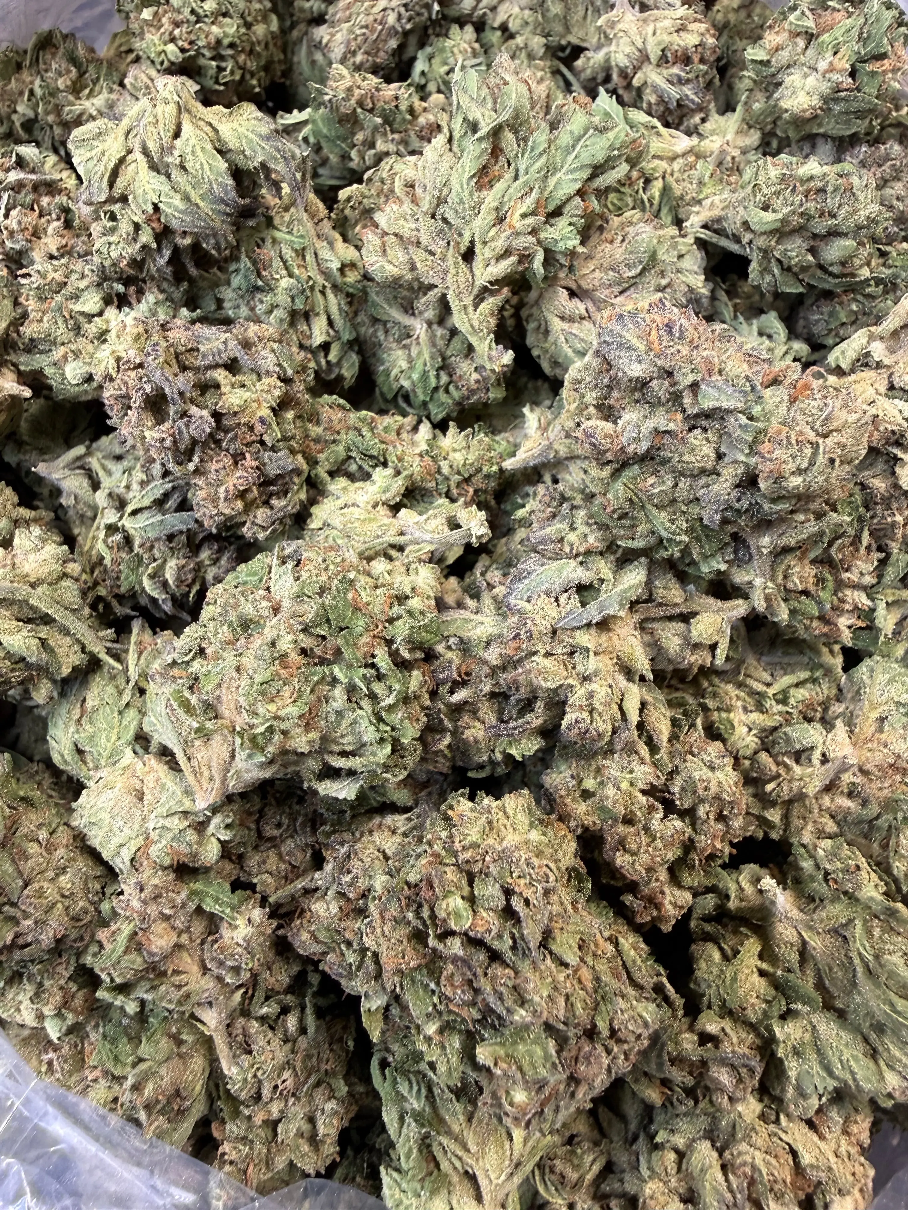 1 Pound - Pink Rozay THCA Flower - Image 8