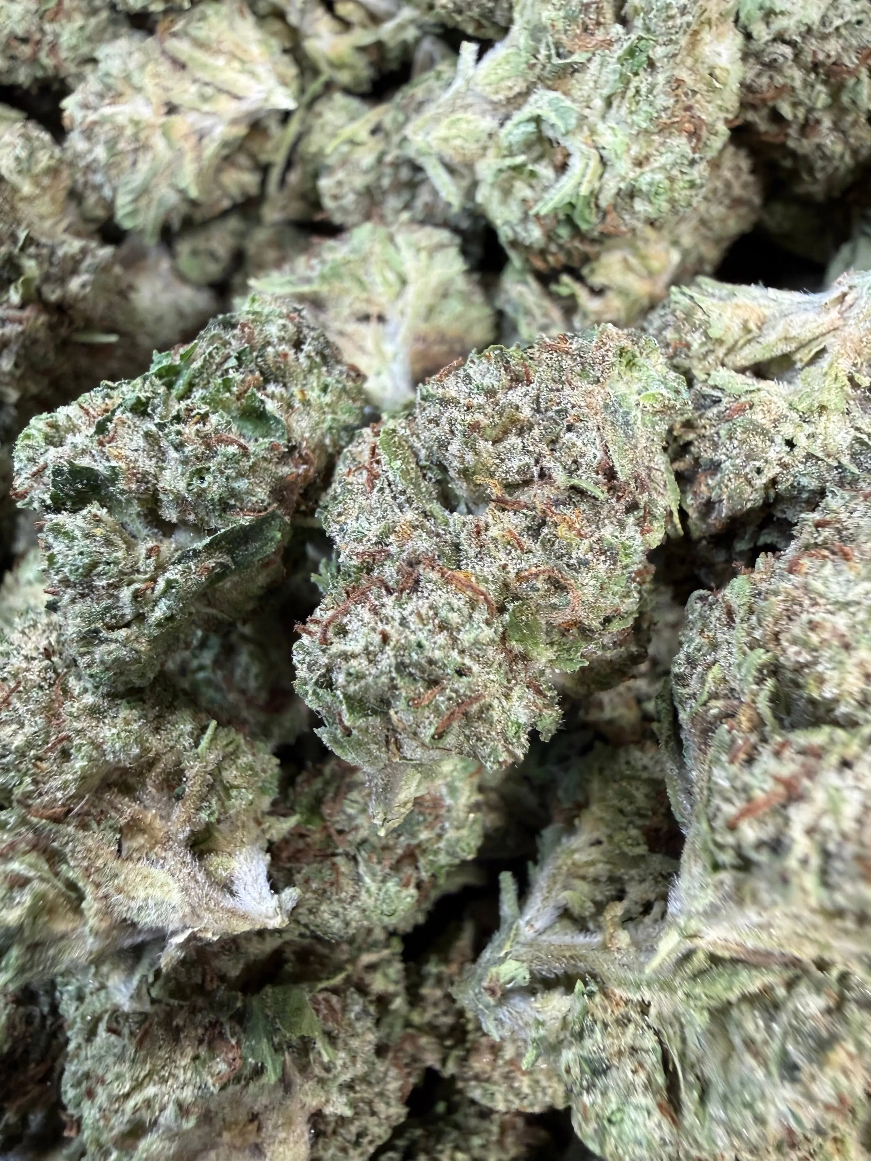 1 Pound Pistachio Creme THCA Flower - Image 4