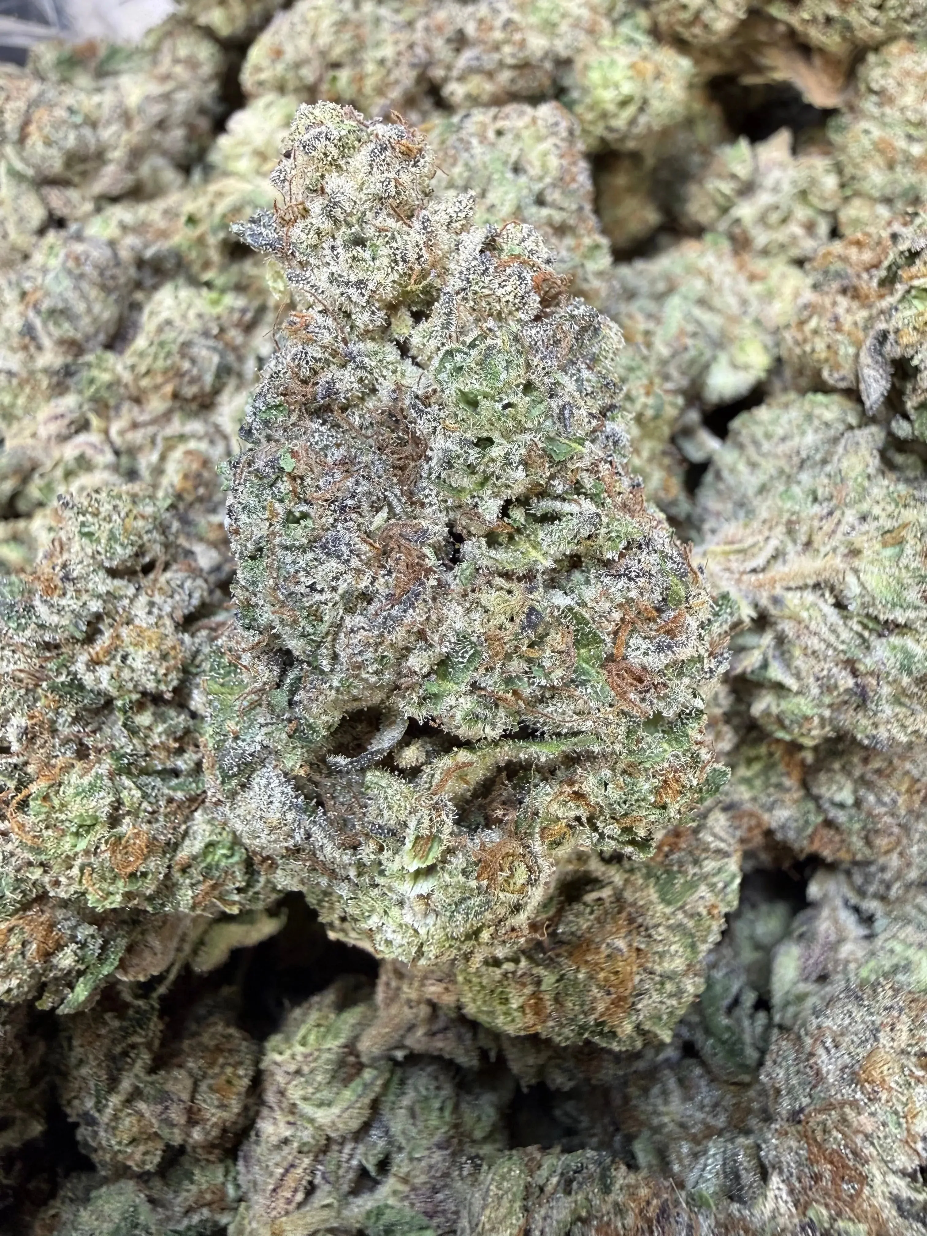 1 Pound - Purple Certz THCA Flower