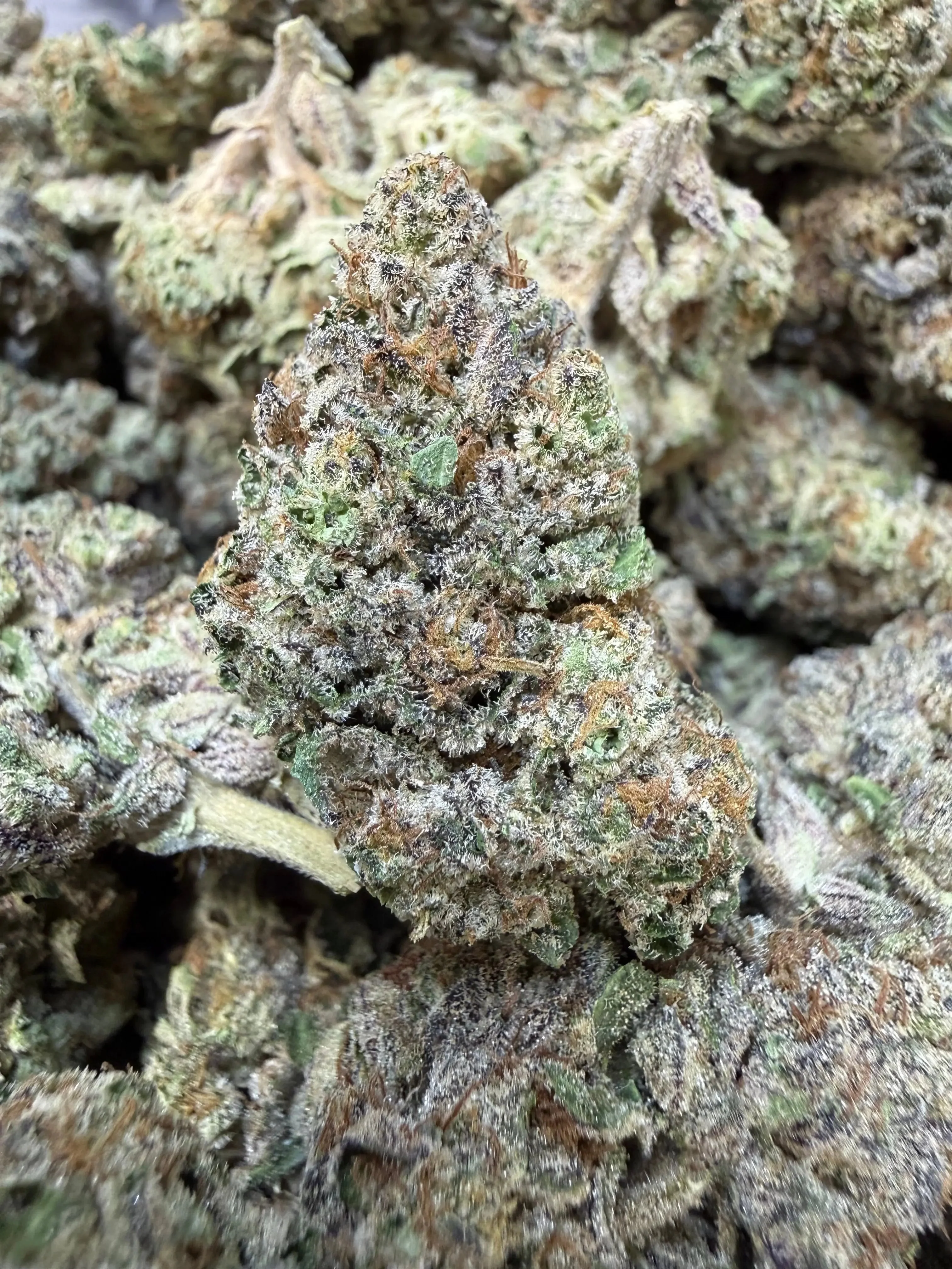 1 Pound - Purple Certz THCA Flower - Image 3