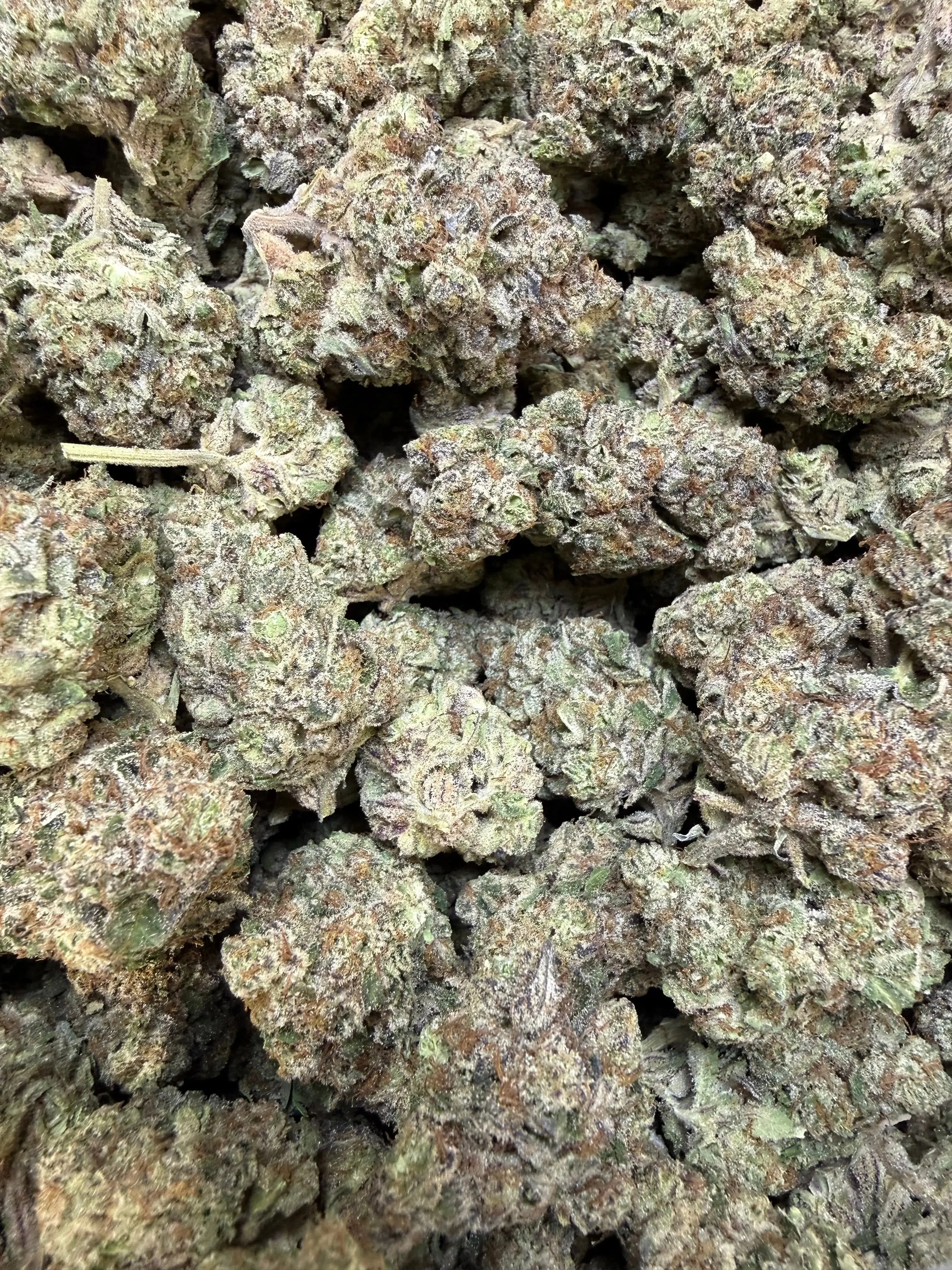 1 Pound - Purple Certz THCA Flower - Image 5