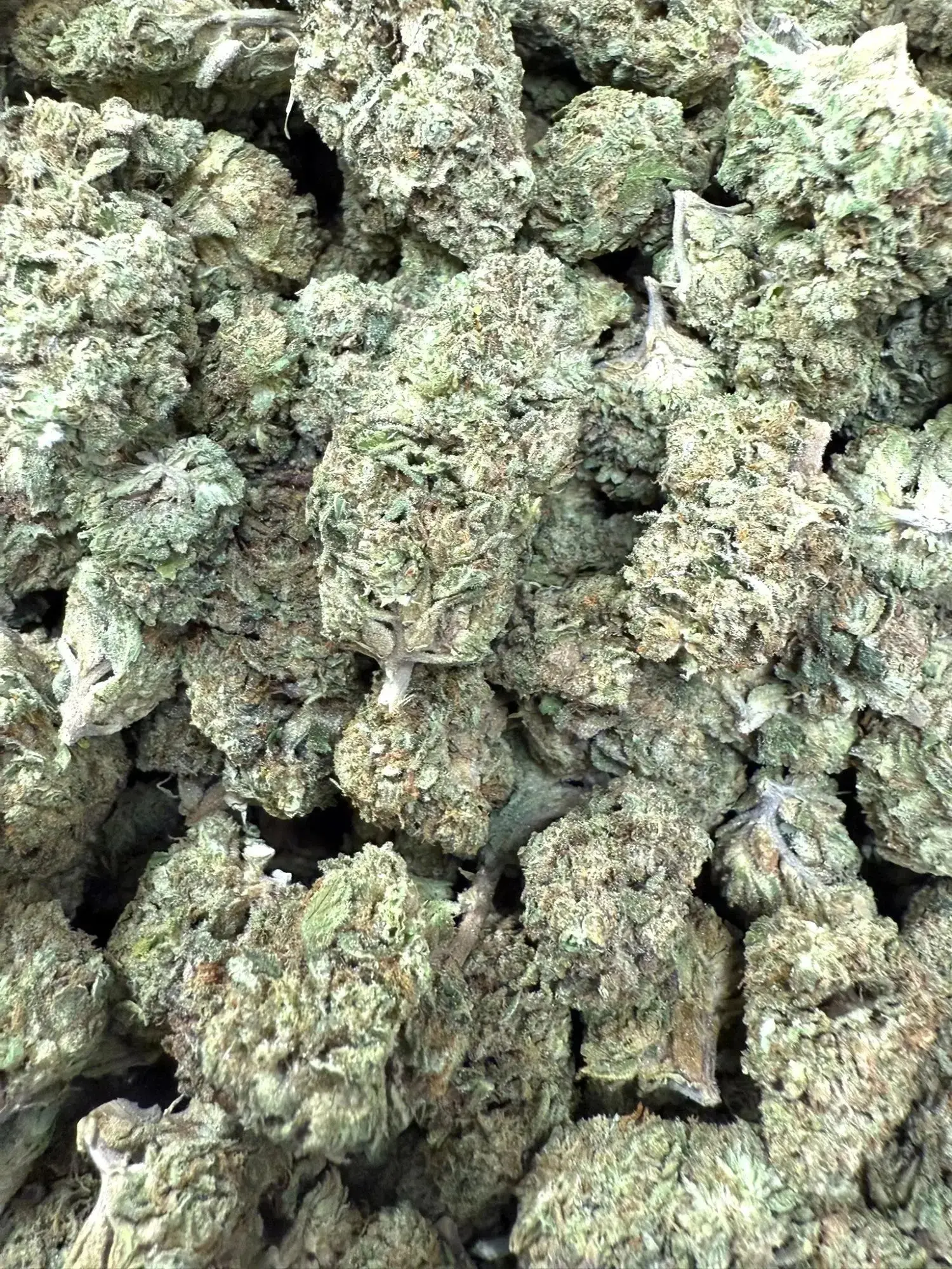 1 Pound - Red Velvet Strain THCA - Image 4