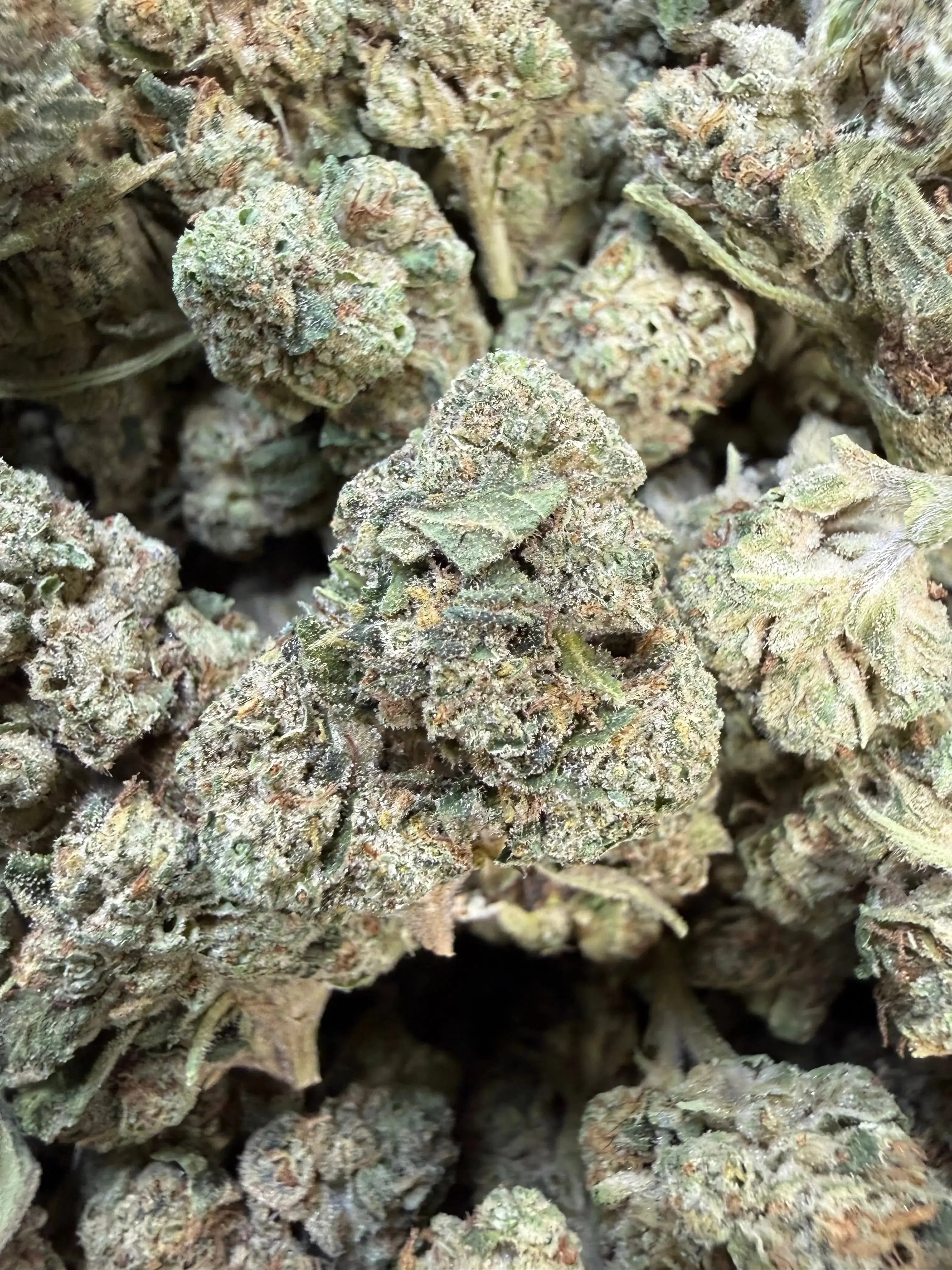 1 Pound - Slurricane THCA Flower - Image 2