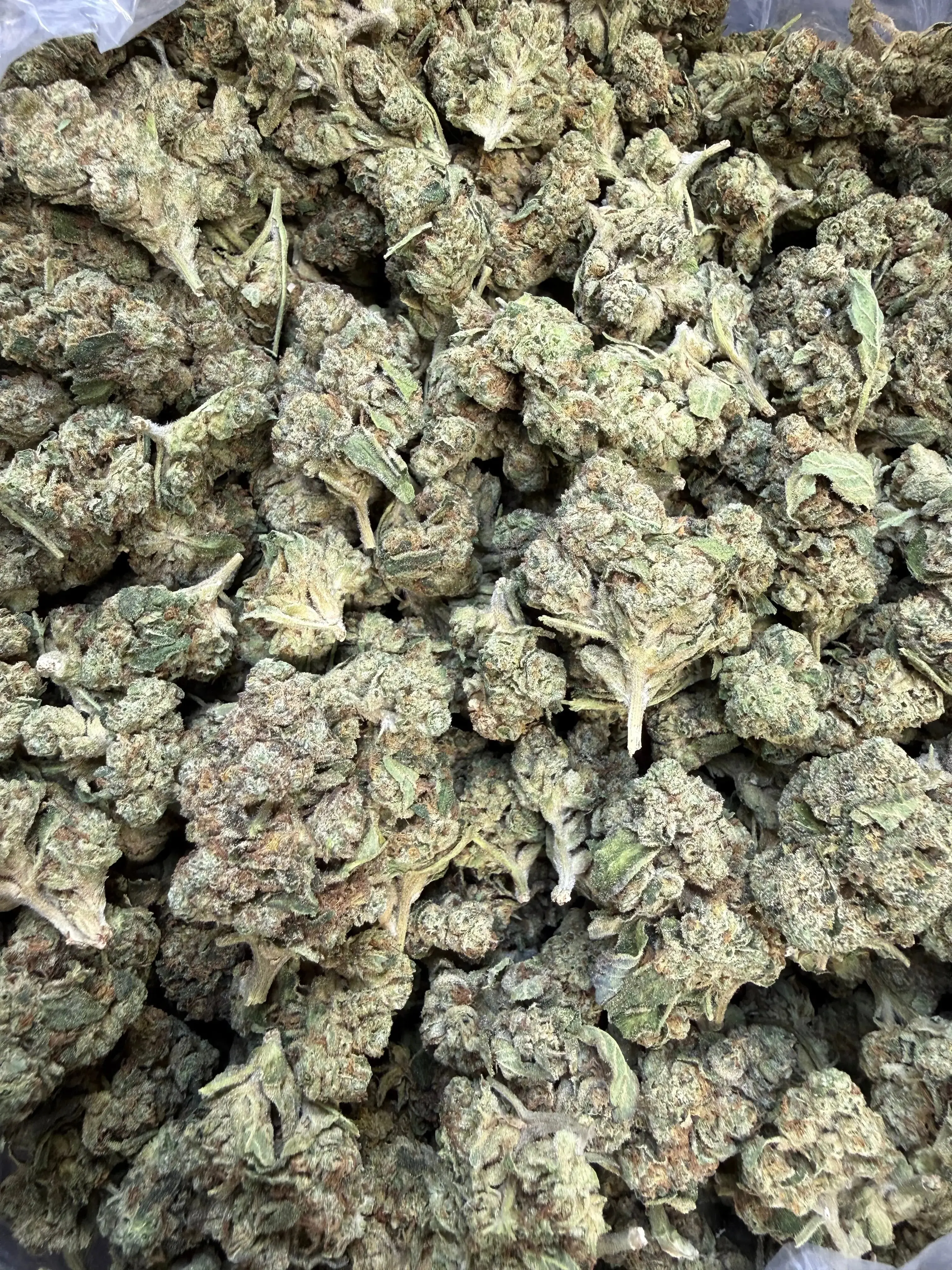 1 Pound - Slurricane THCA Flower - Image 4